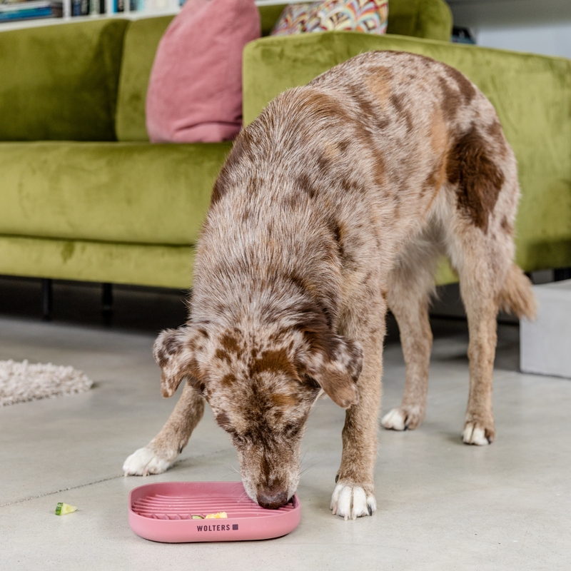 Tierbedarf WOLTERS cat & dog GmbH