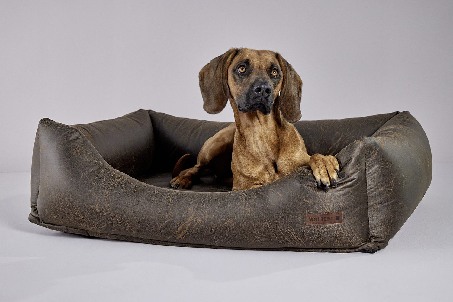 Vintage dog lounge bed