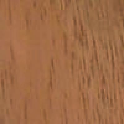 Tierbedarf WOLTERS cat & dog GmbH