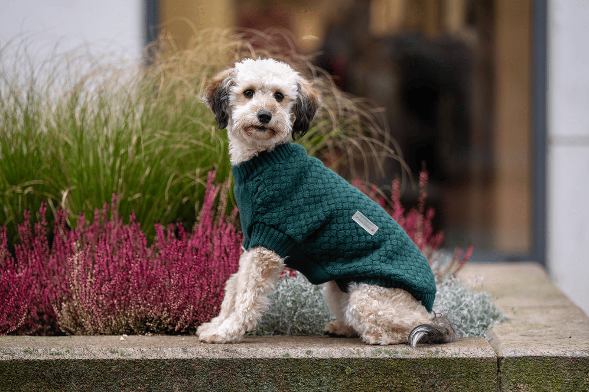 WOLTERS Strickpullover Square