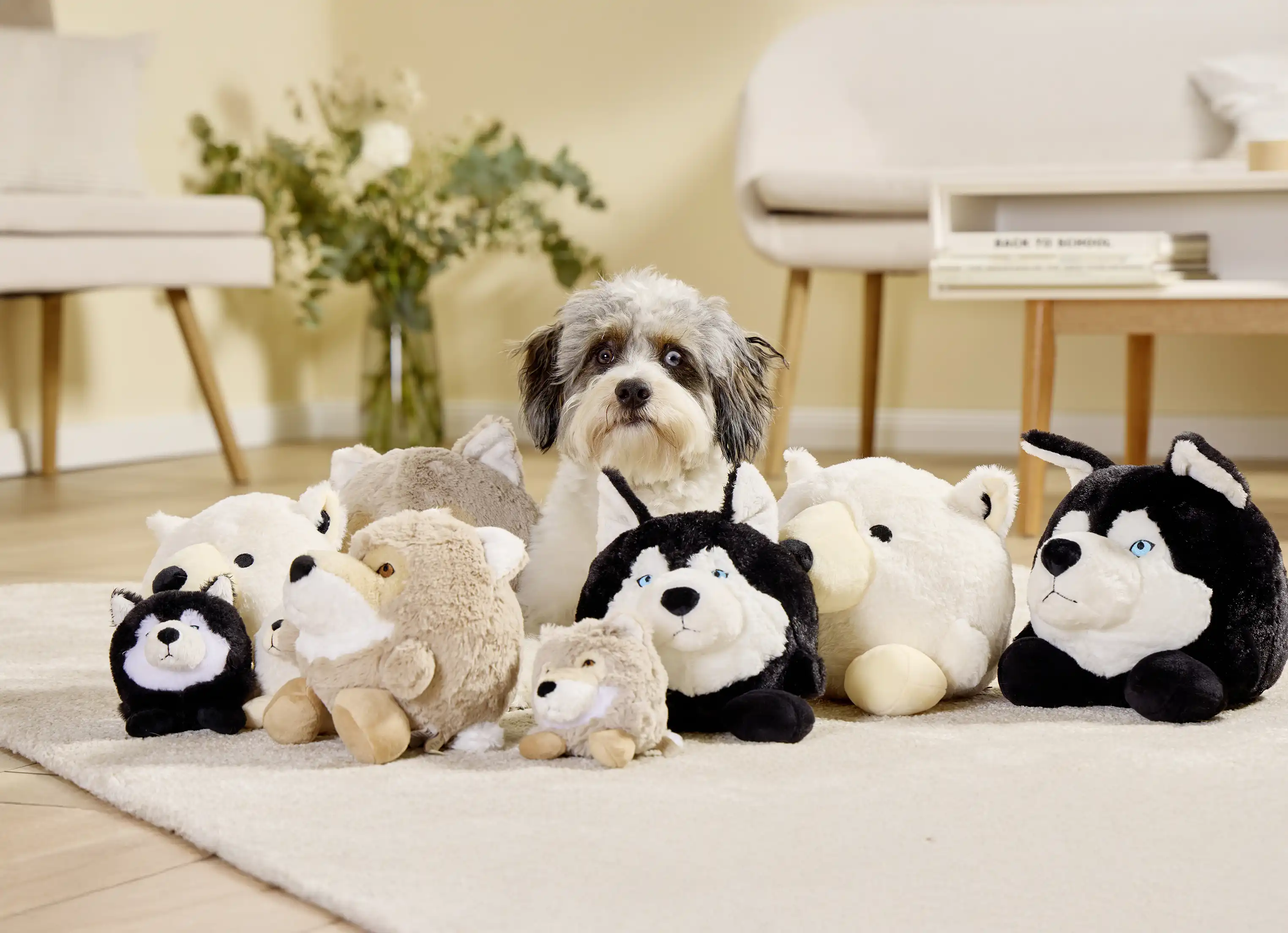 Plüschbälle für Hunde
