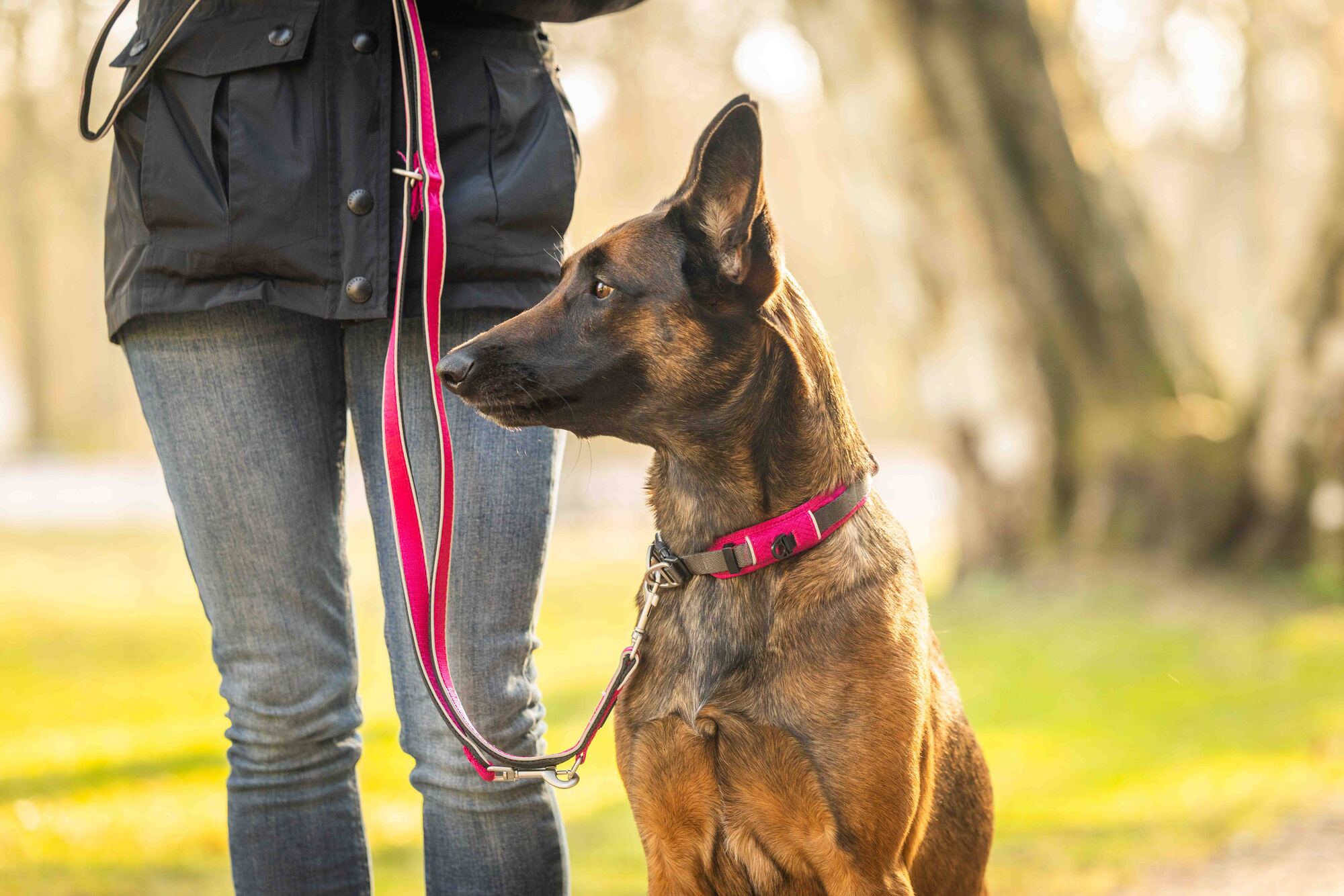 Active Pro Comfort collar