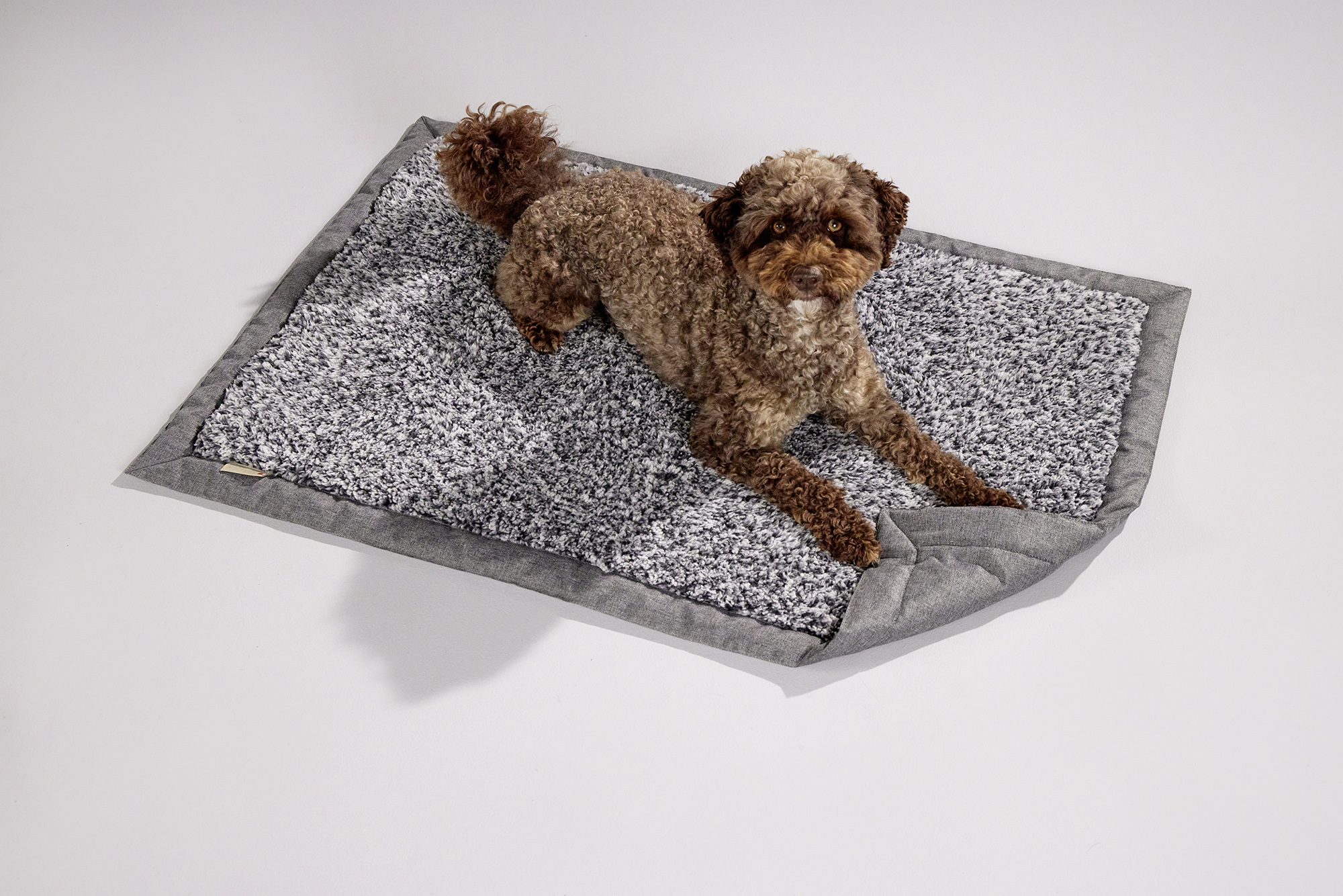 Sweet Dreams Sofa Blanket