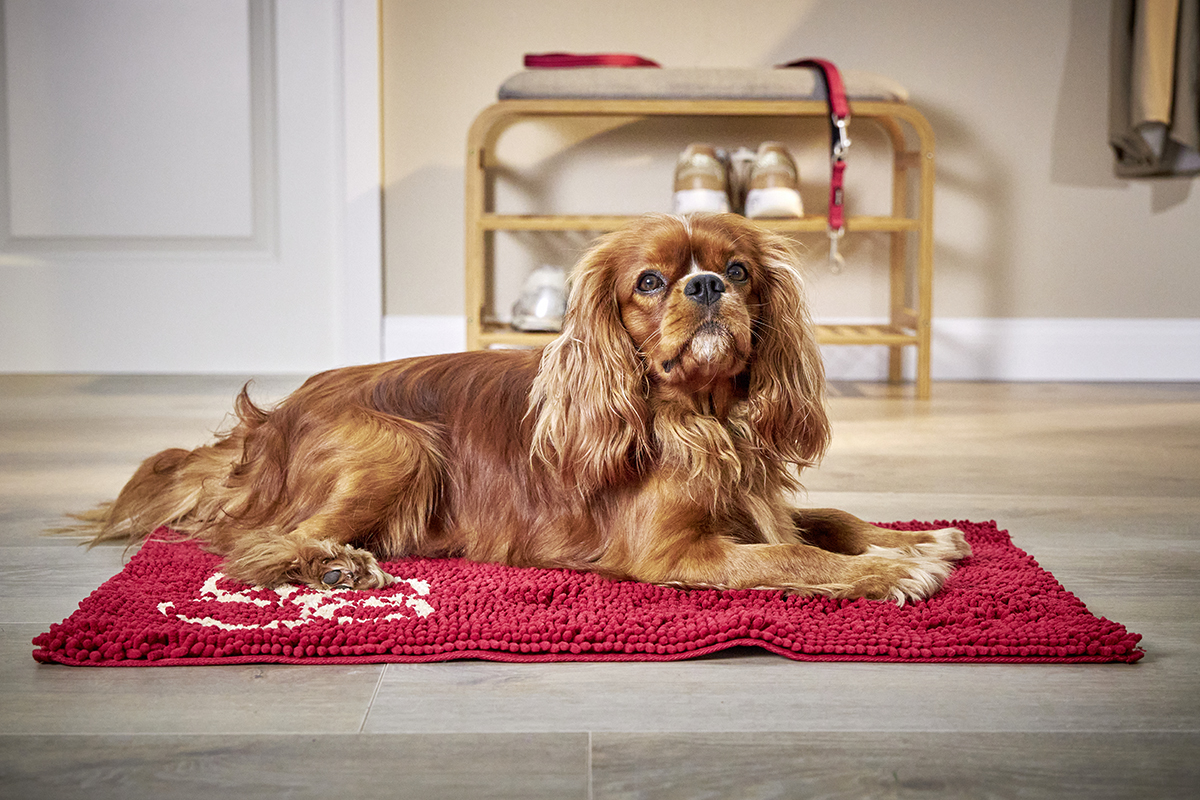 Cleankeeper Doormat