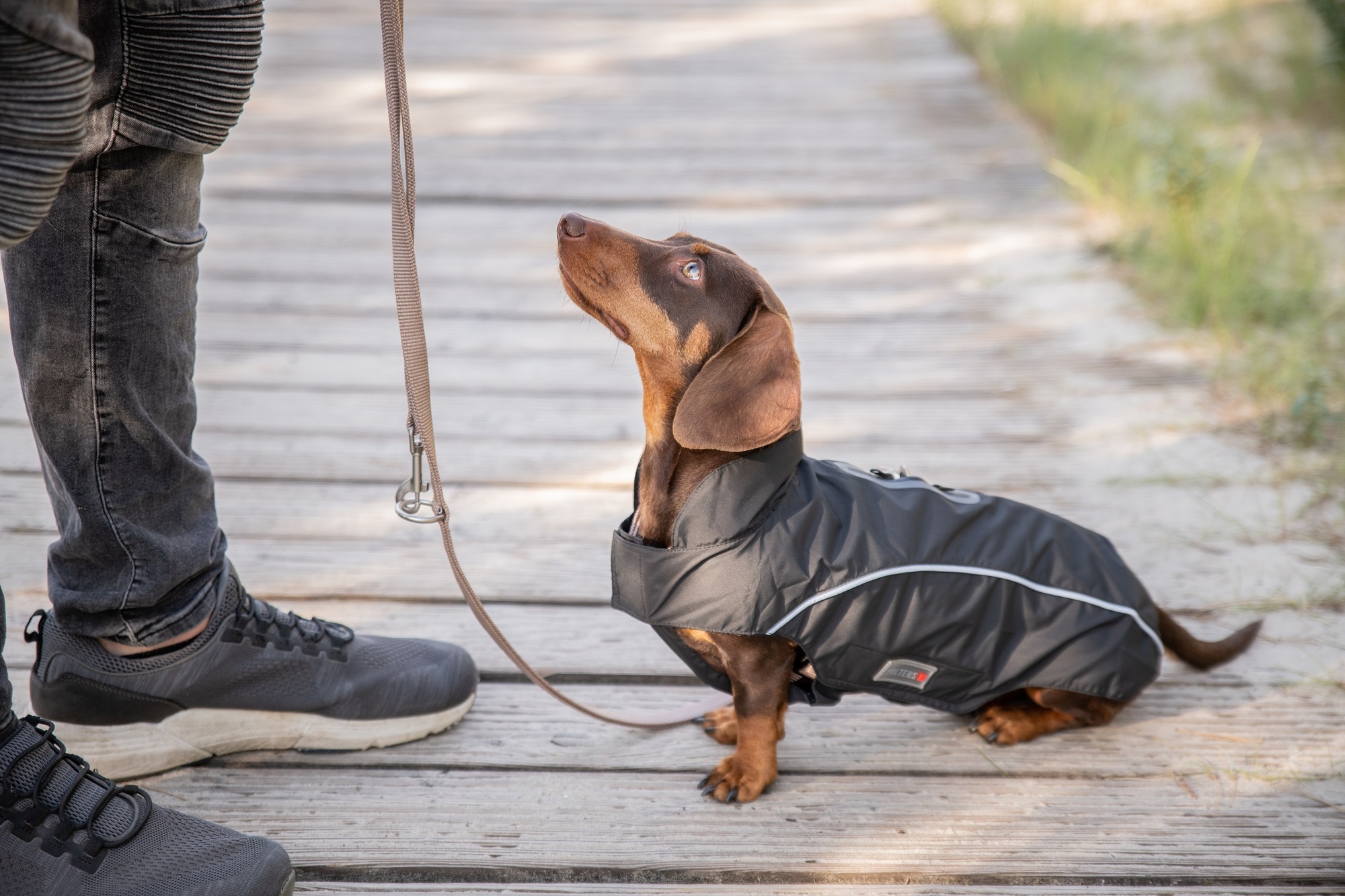  WOLTERS cat & dog GmbH