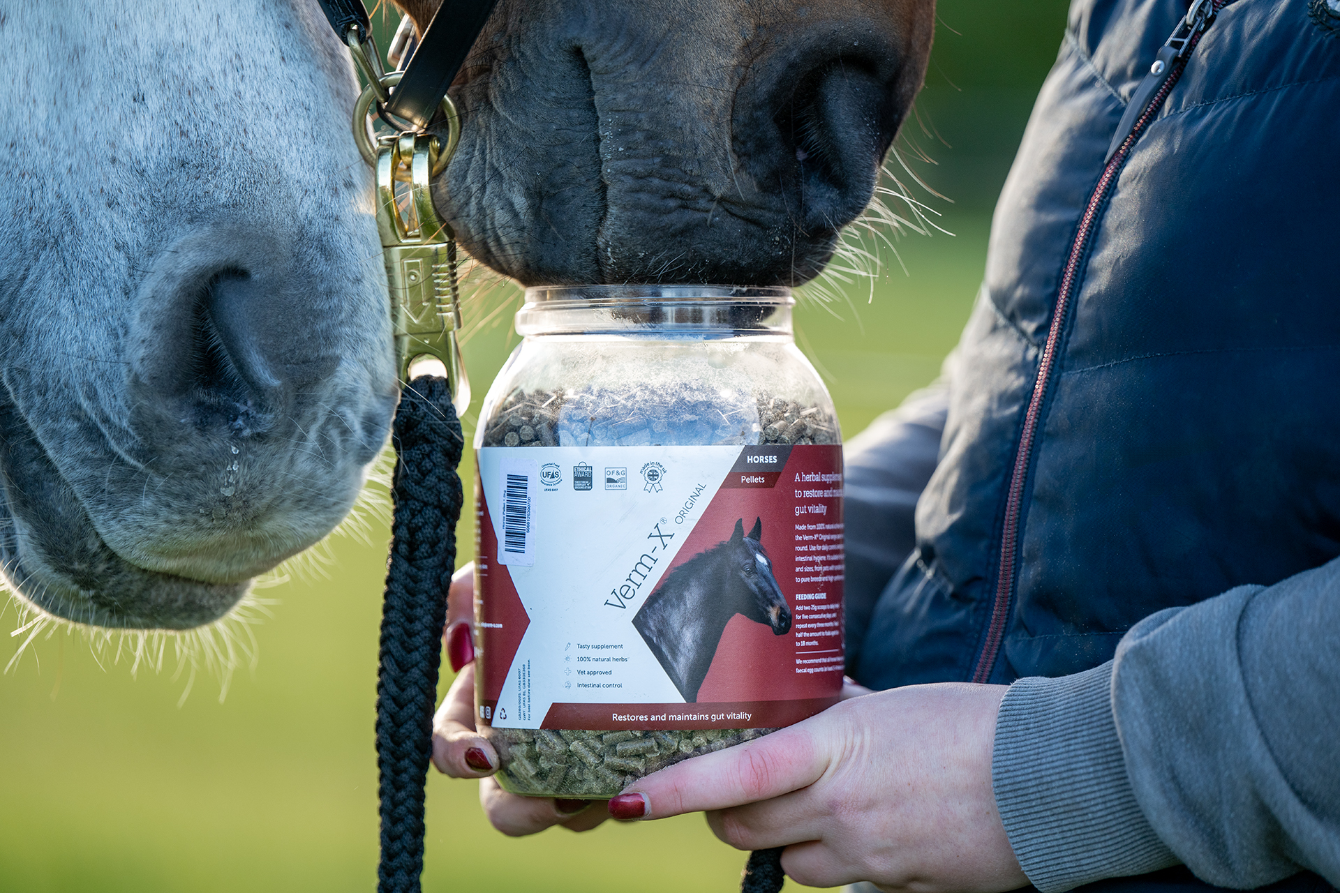 Verm-X Pellets for Horses & Ponies