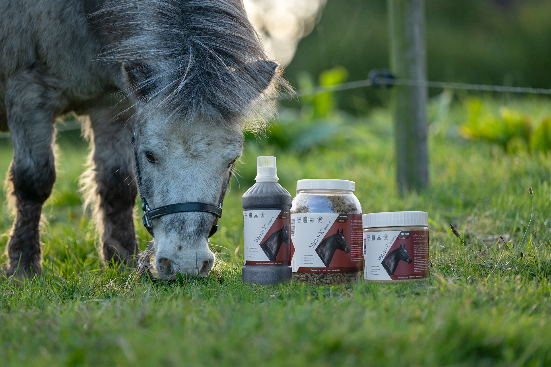 Verm-X Powder for Horses & Ponies
