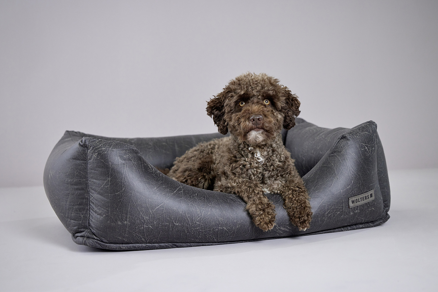 Vintage dog lounge bed