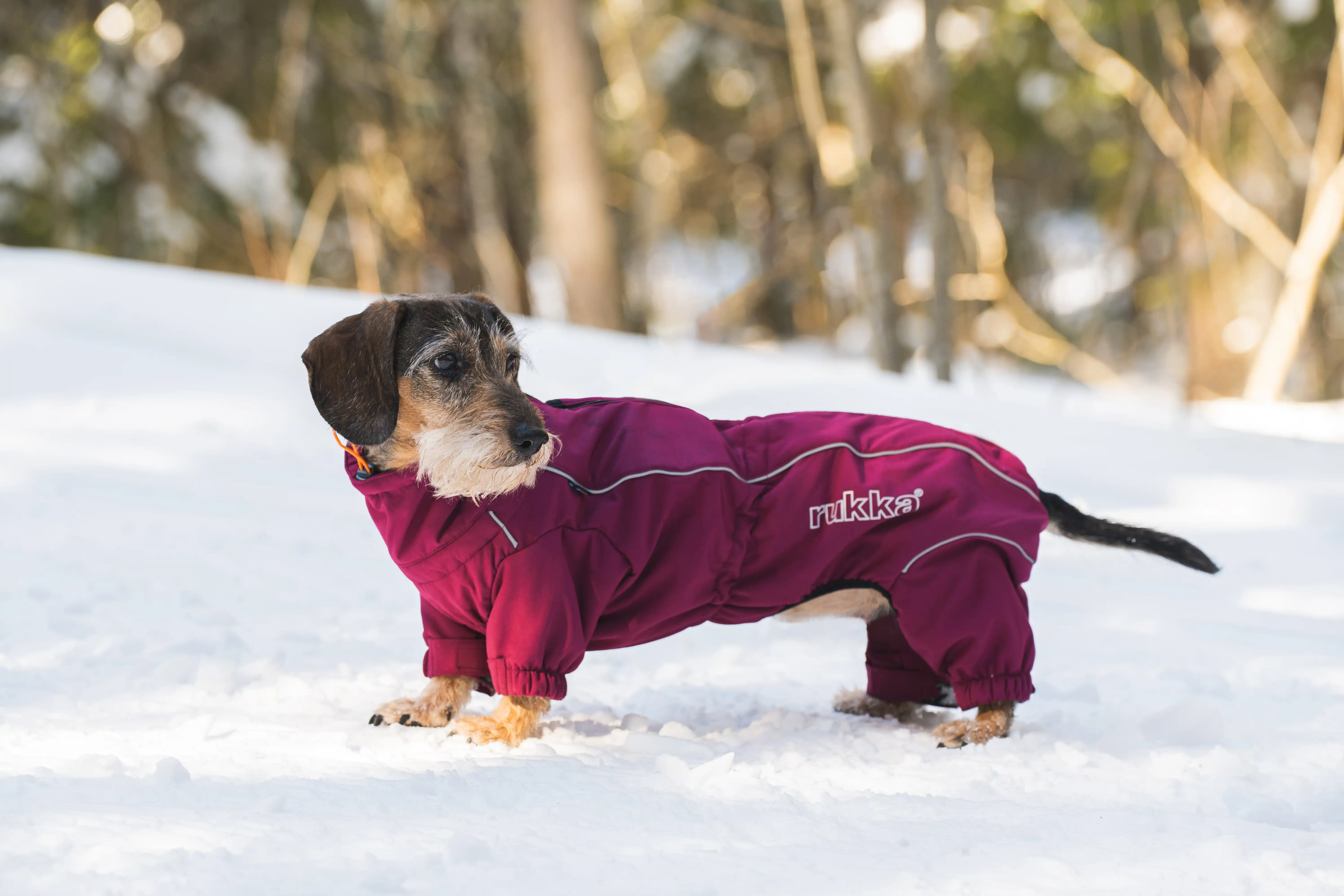 Rukka Pets Thermo-Overall kurze Beine