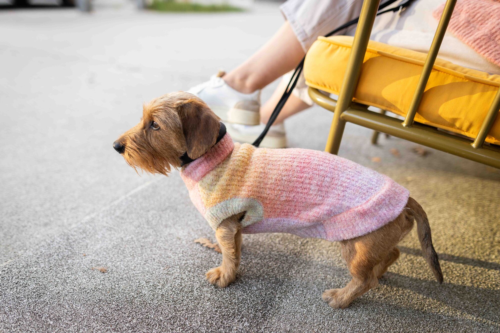 Knitted Jumper Sunset