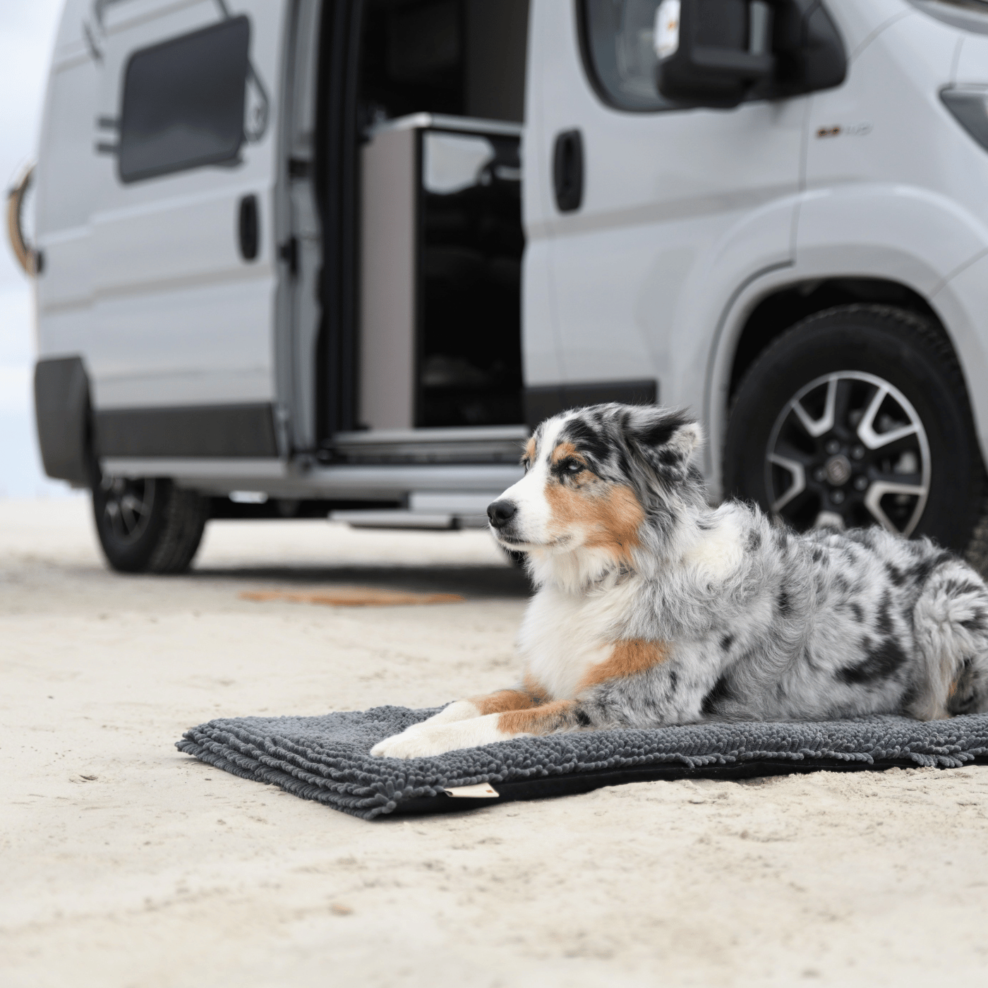 Tierbedarf WOLTERS cat & dog GmbH