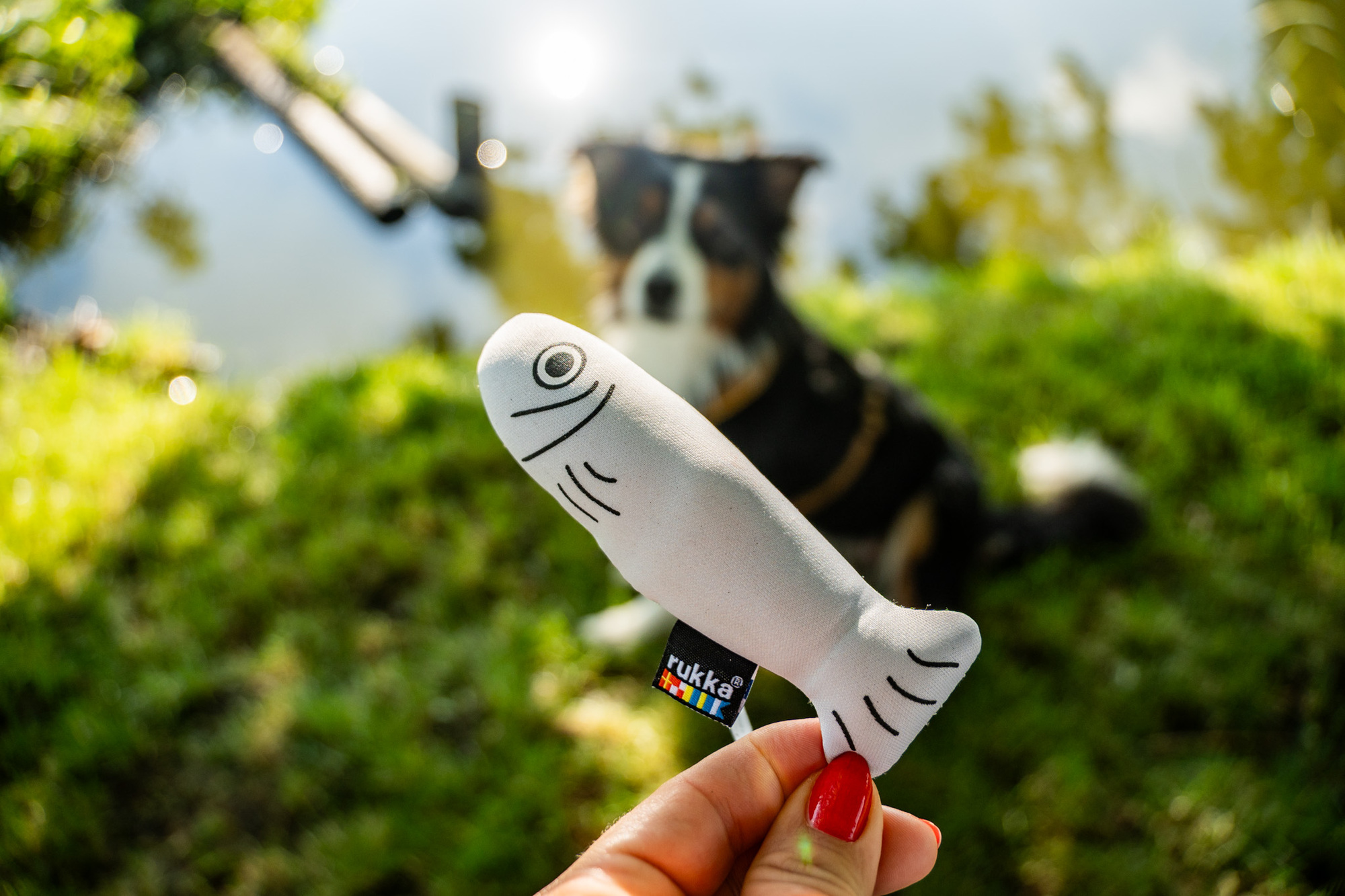 Rukka Pets Swimming Toy