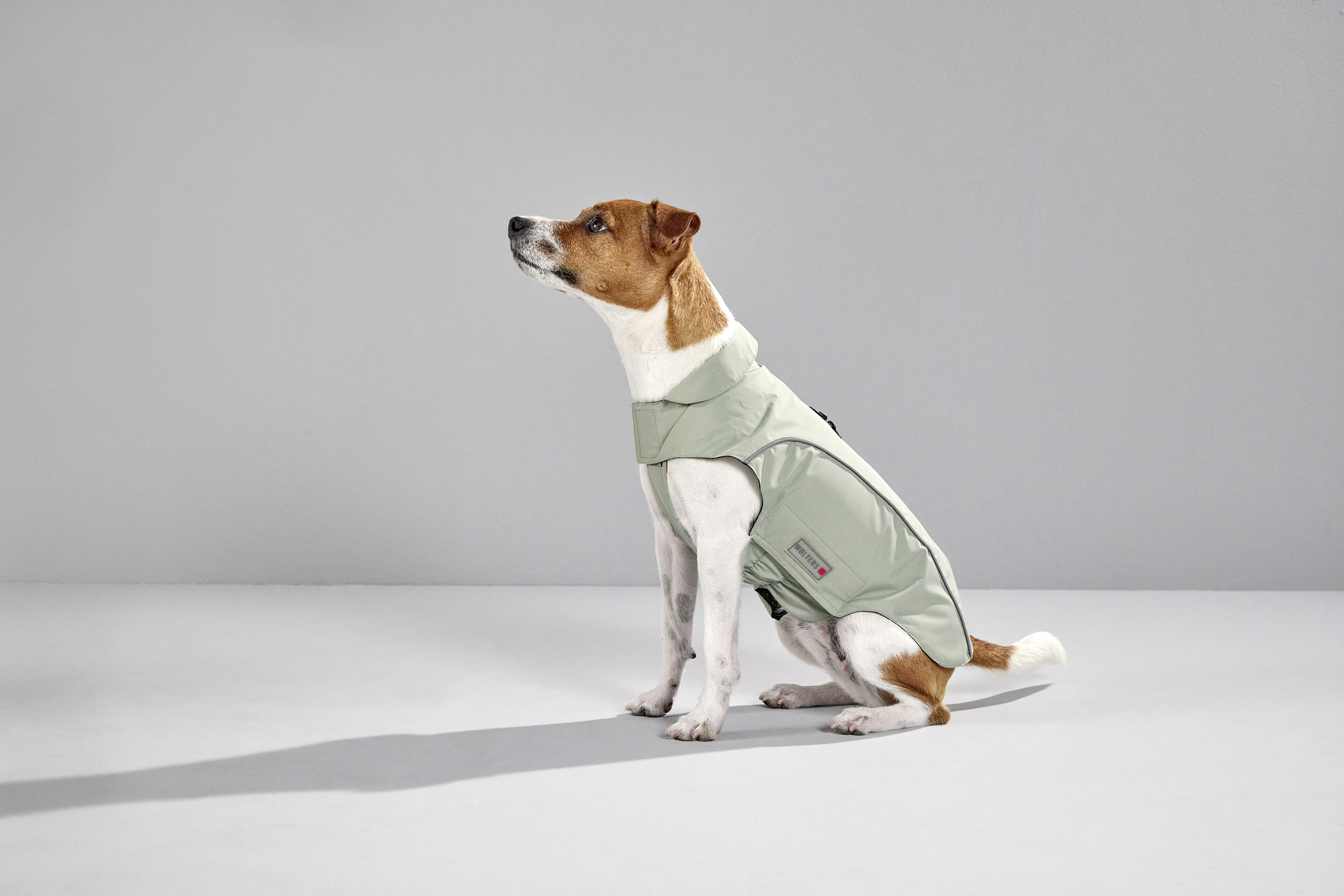  WOLTERS cat & dog GmbH