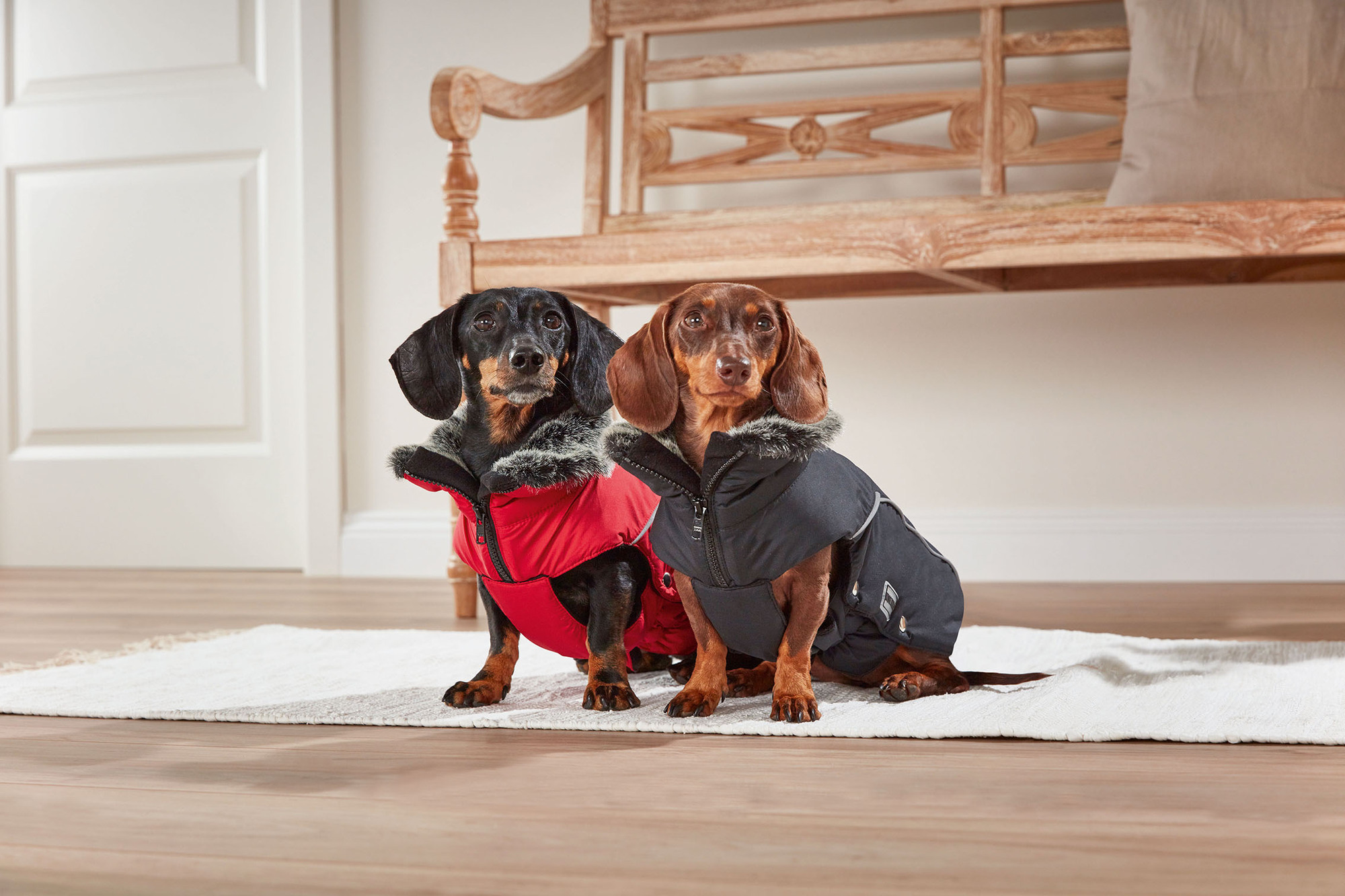  WOLTERS cat & dog GmbH