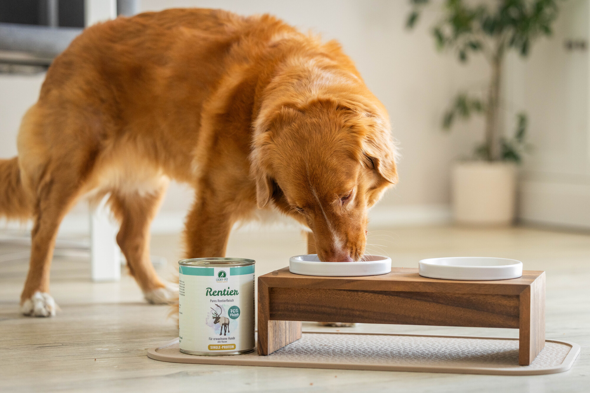 Tierbedarf WOLTERS cat & dog GmbH