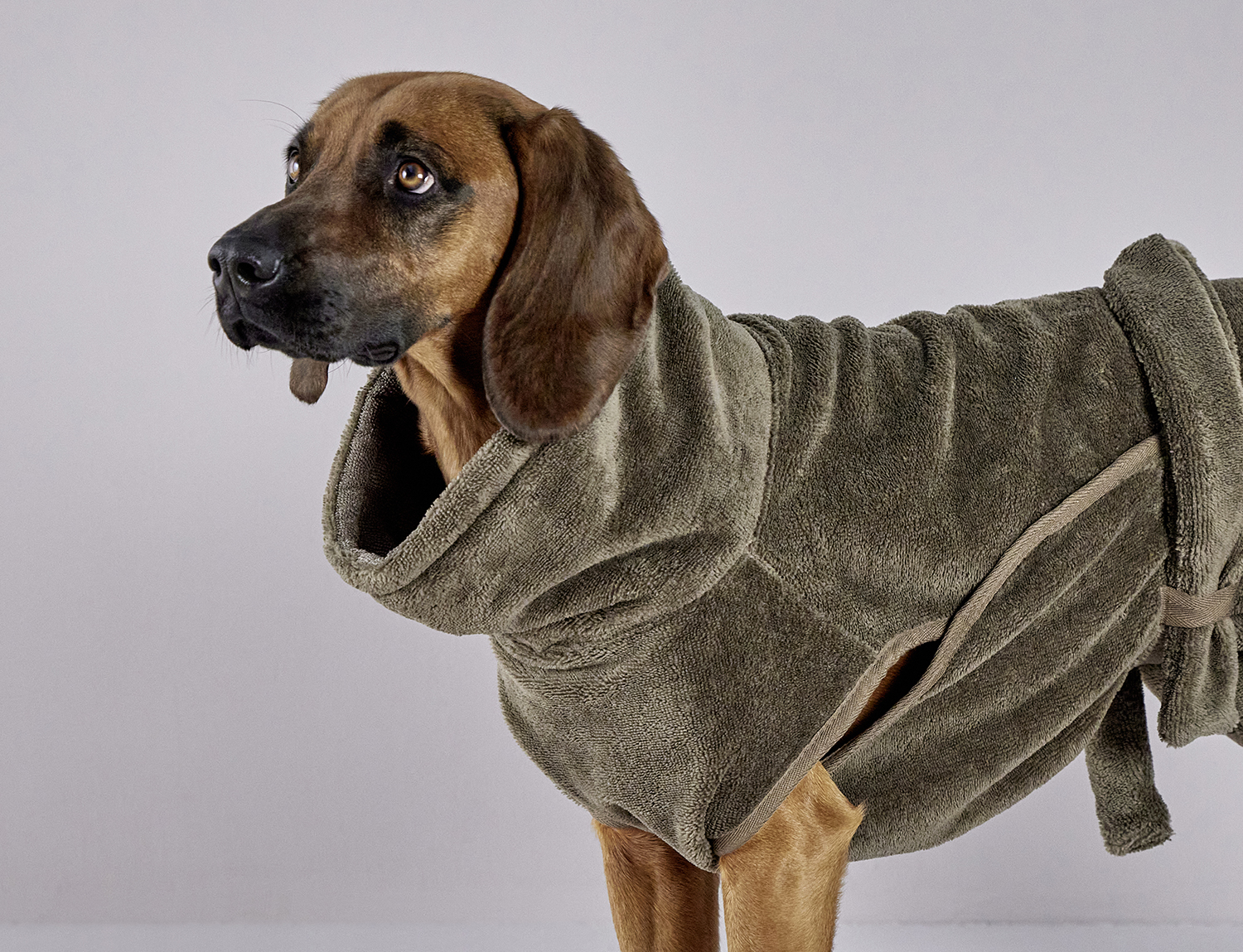Easy Clean dog drying coat