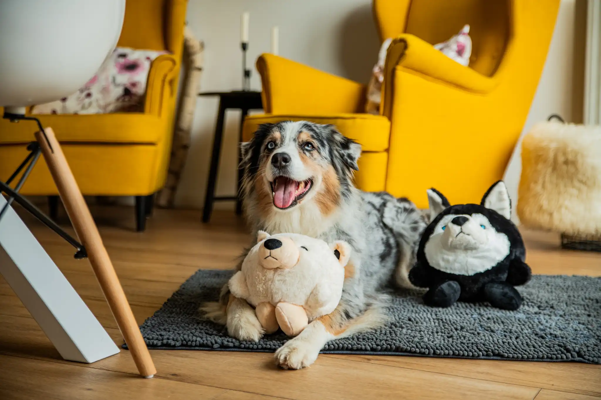 Plüschball-Ella-Eisbär-für-Hunde