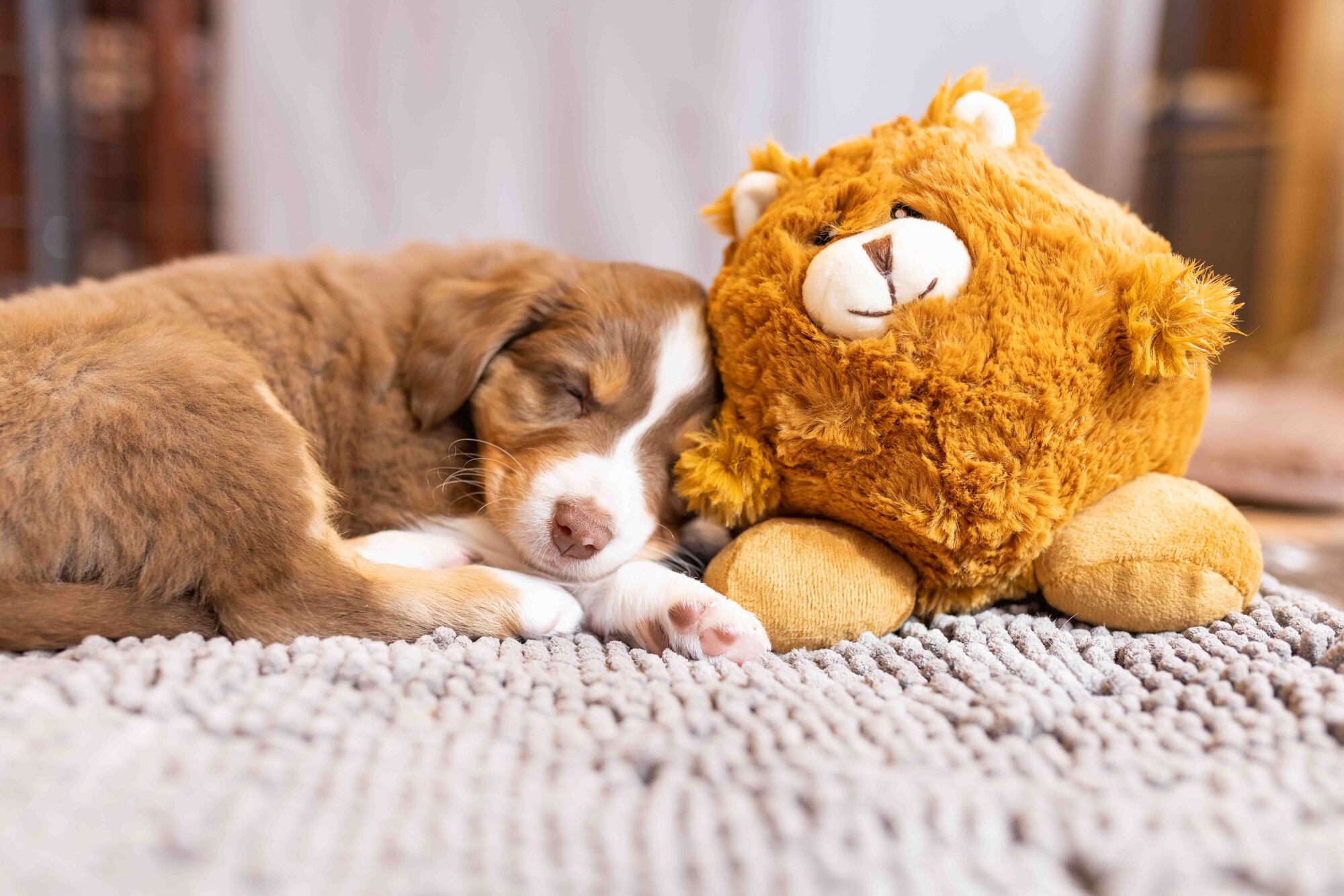 Plush Ball
