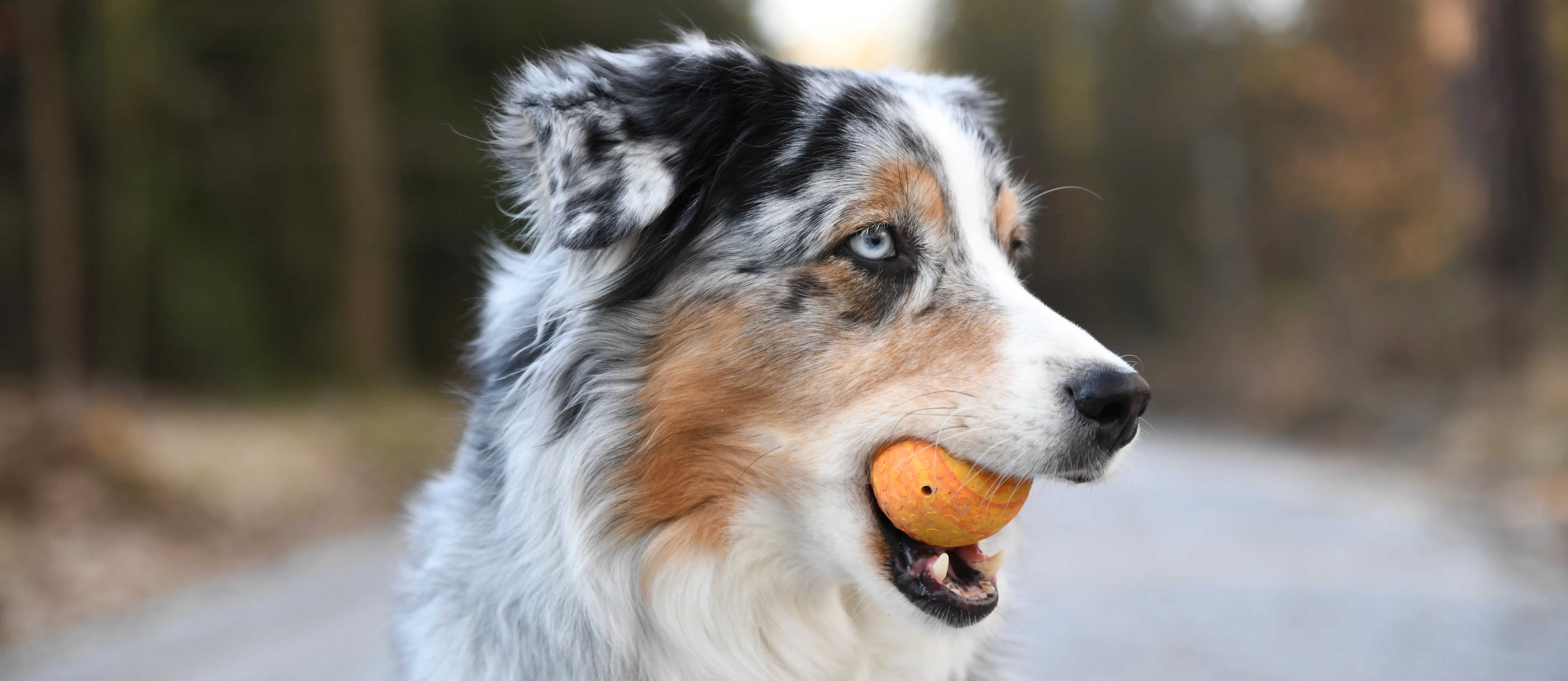 Wir spielen NATÜRLICH!