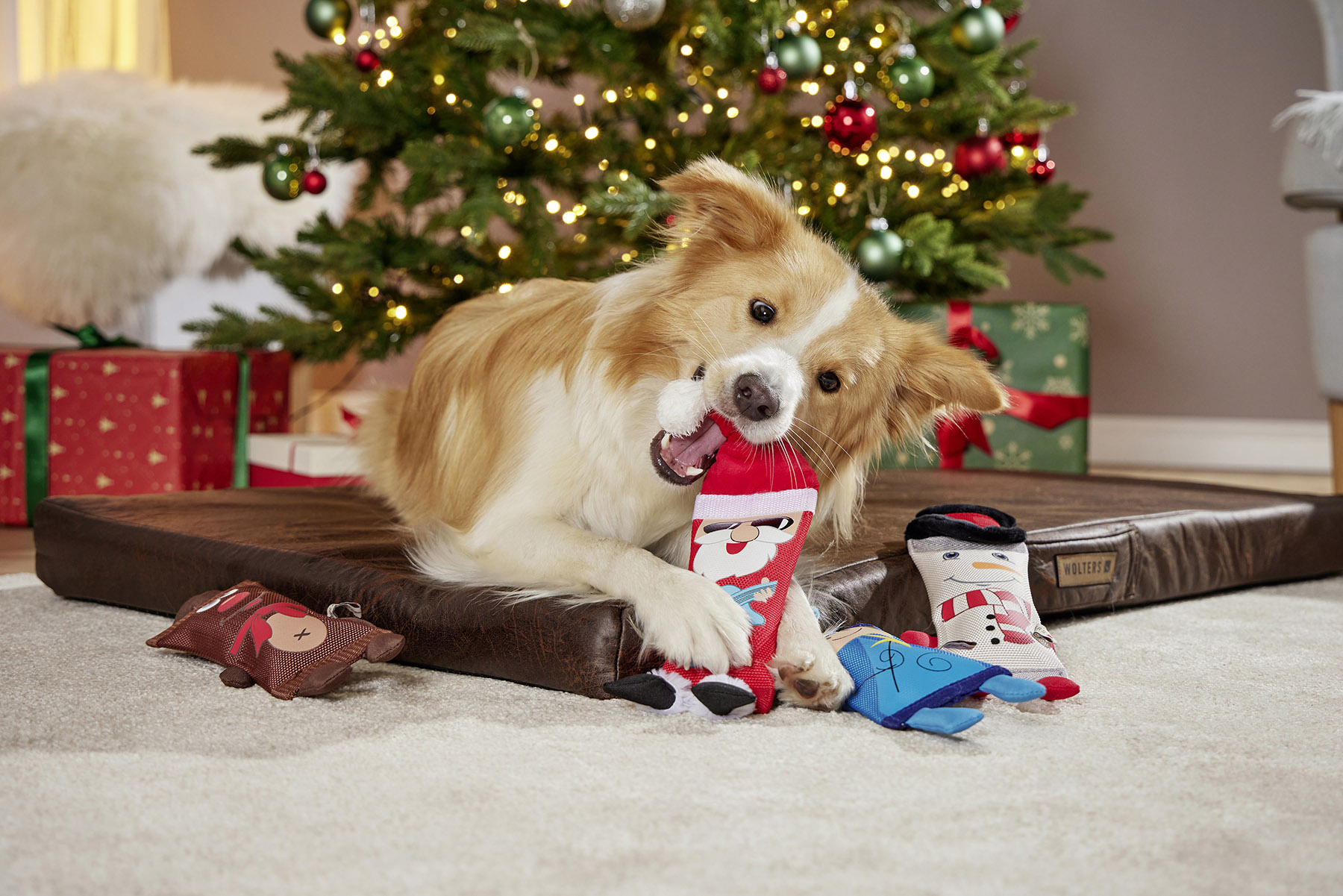 Funny Dummy Christmas
