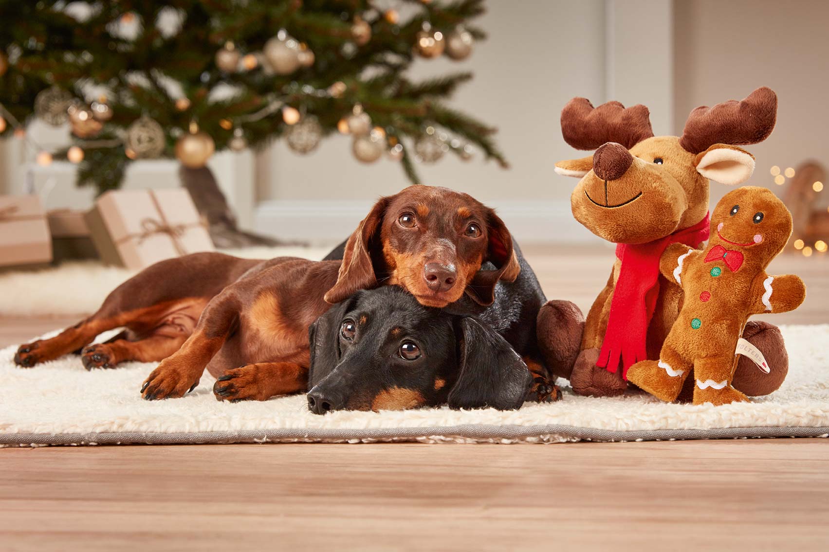 Plush Moose Rudolph