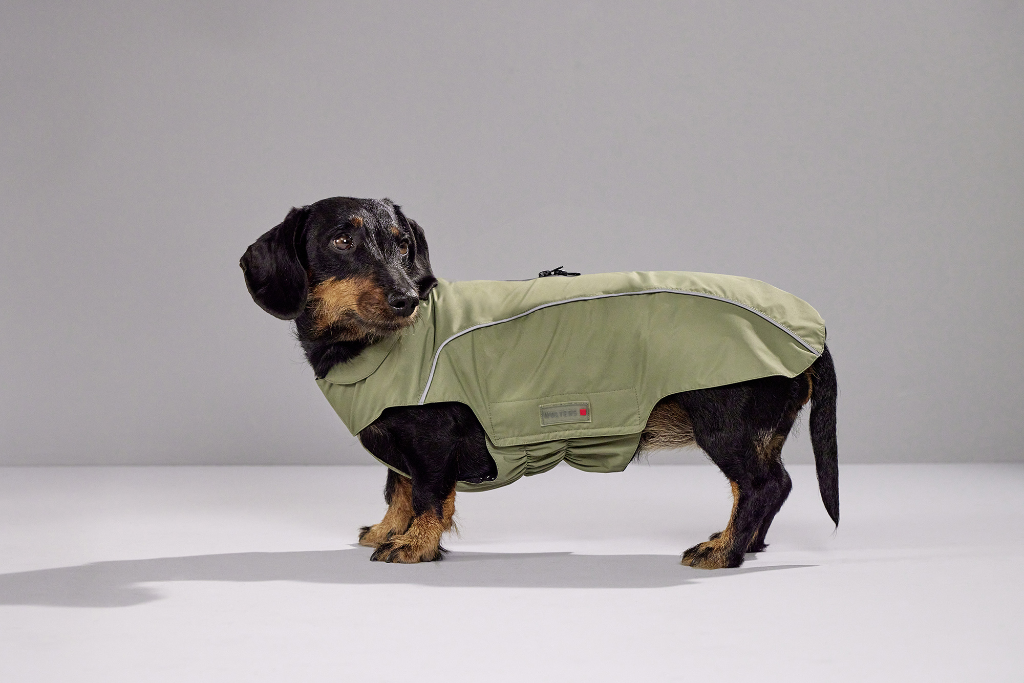  WOLTERS cat & dog GmbH