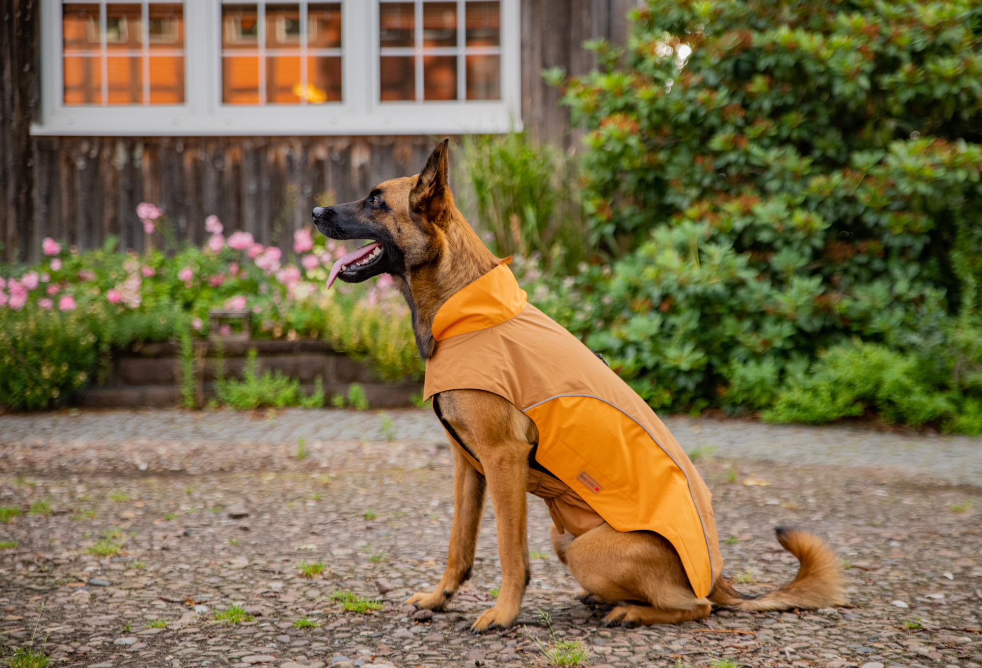 Regenjacke Easy Rain