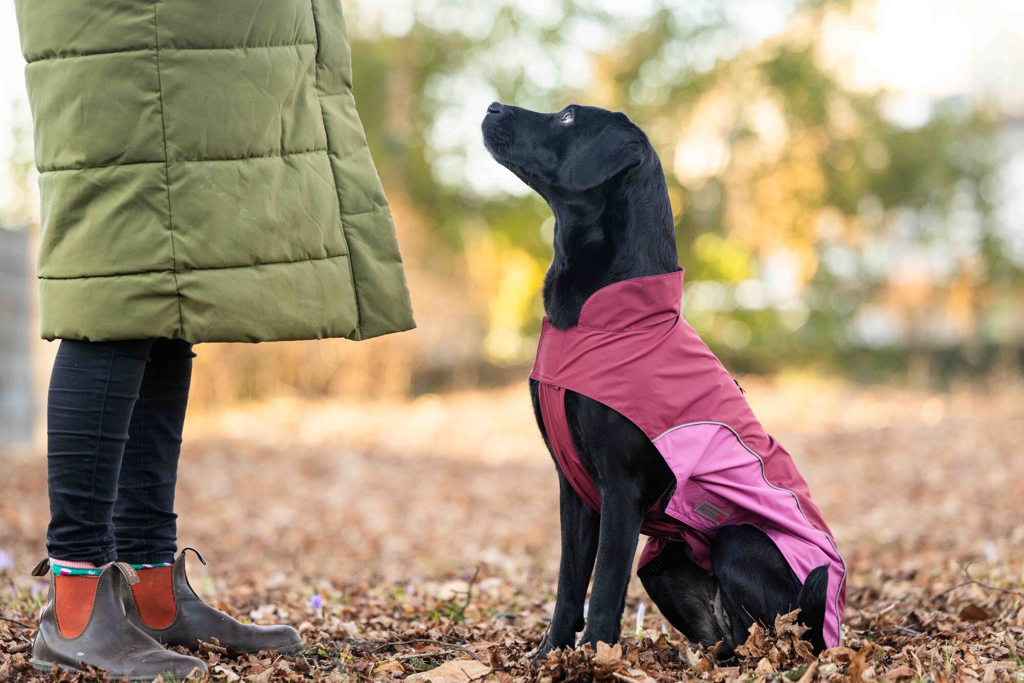 Easy Rain Raincoat