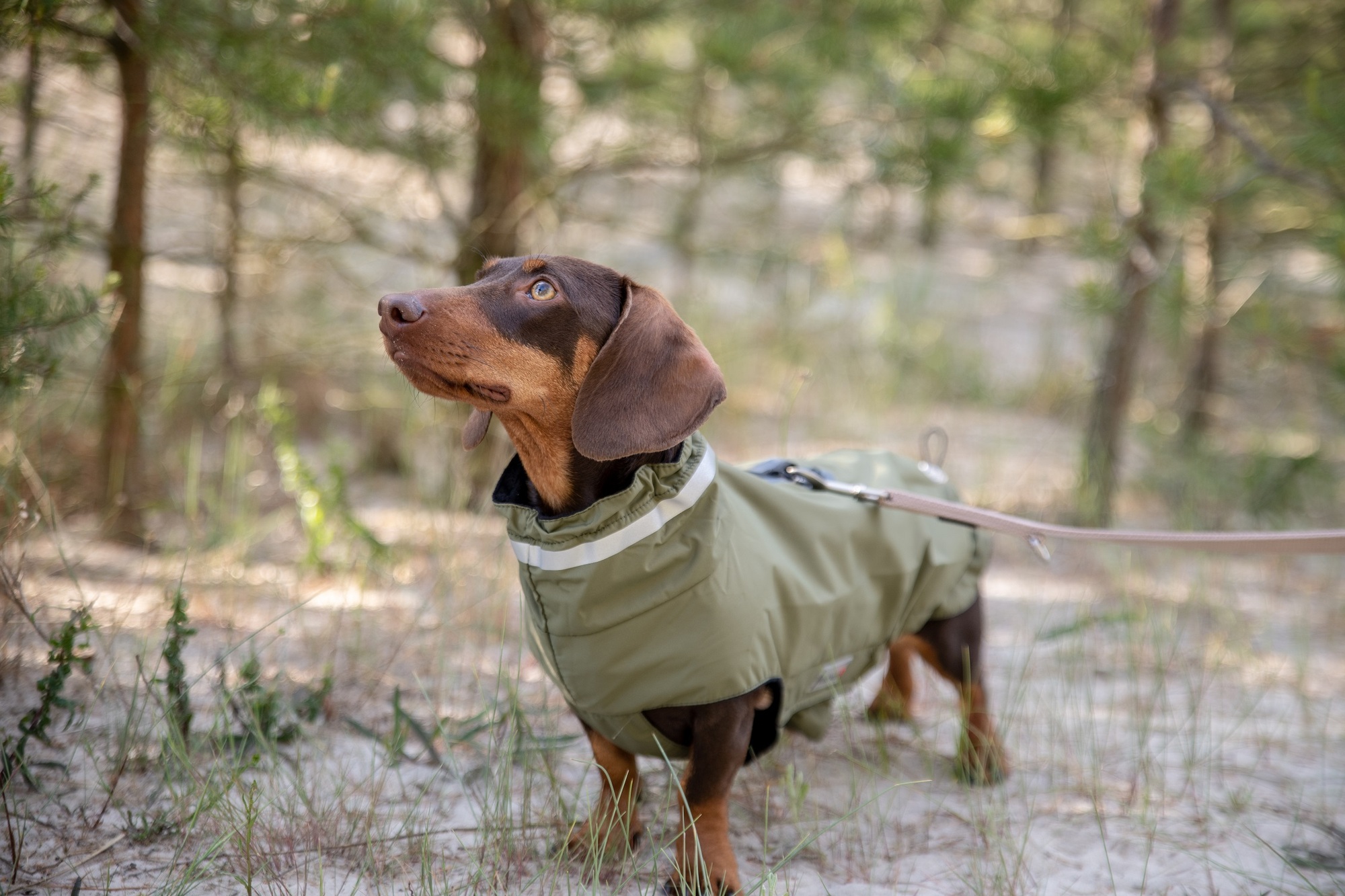 Outdoorjacke Modern Classic – langer Rücken