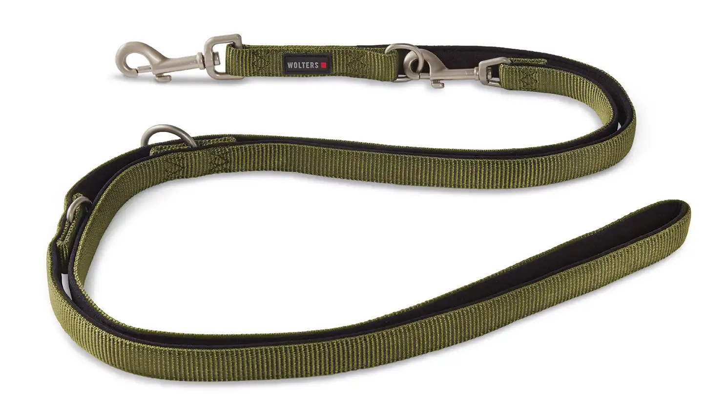 Professional Comfort Guide Leash