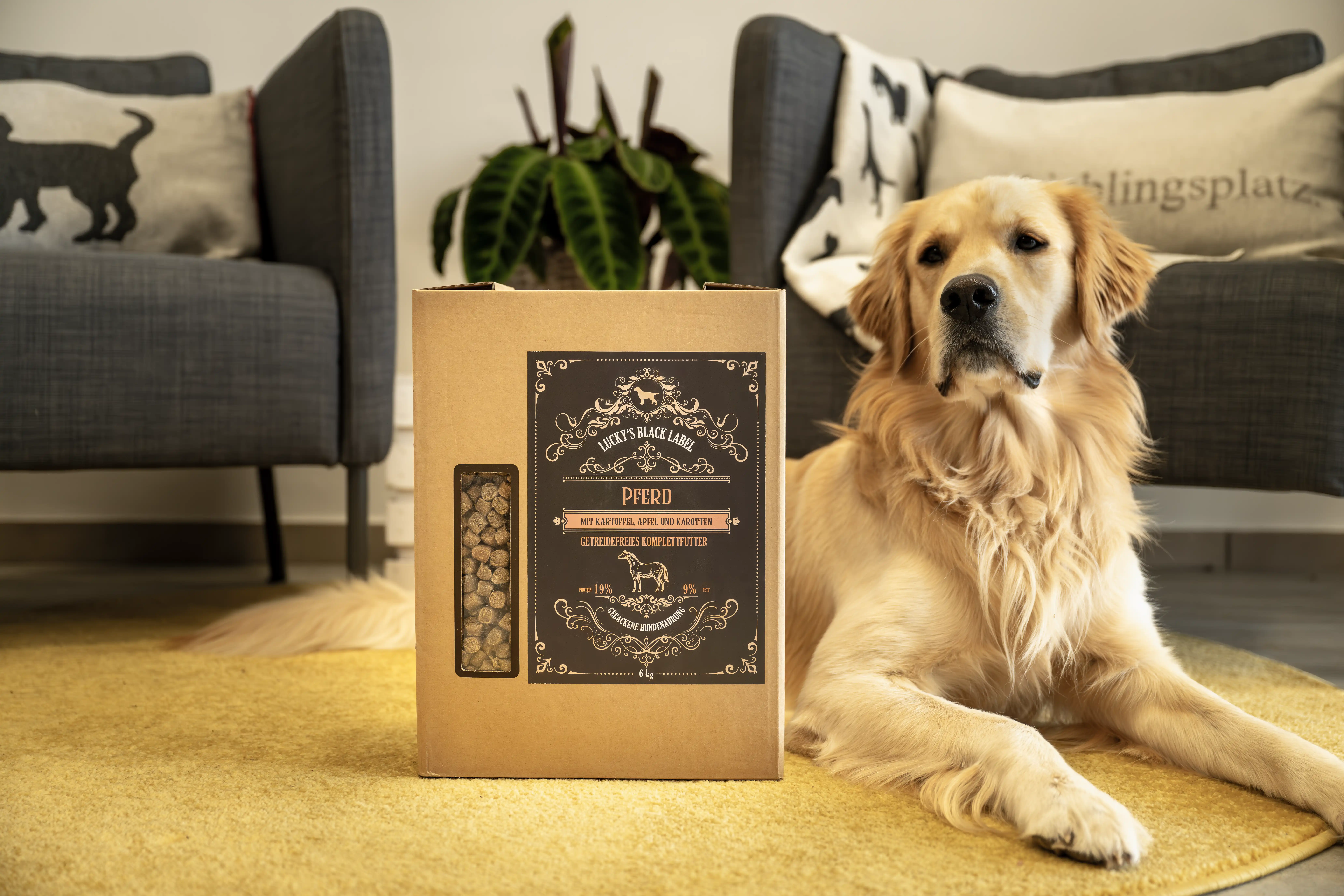 Lucky's Black Label Pferd