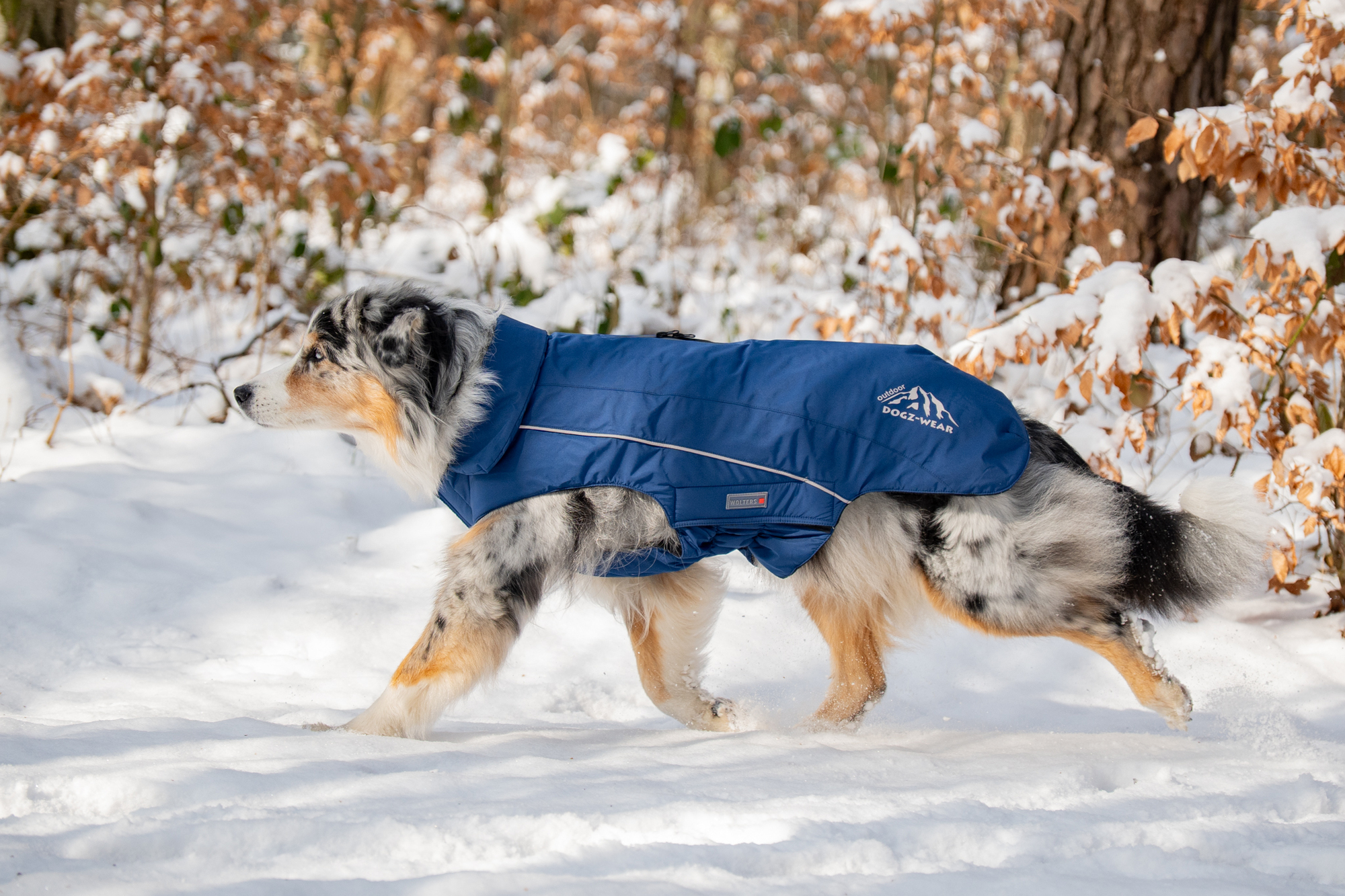 Dogz-Wear Ski Jacket