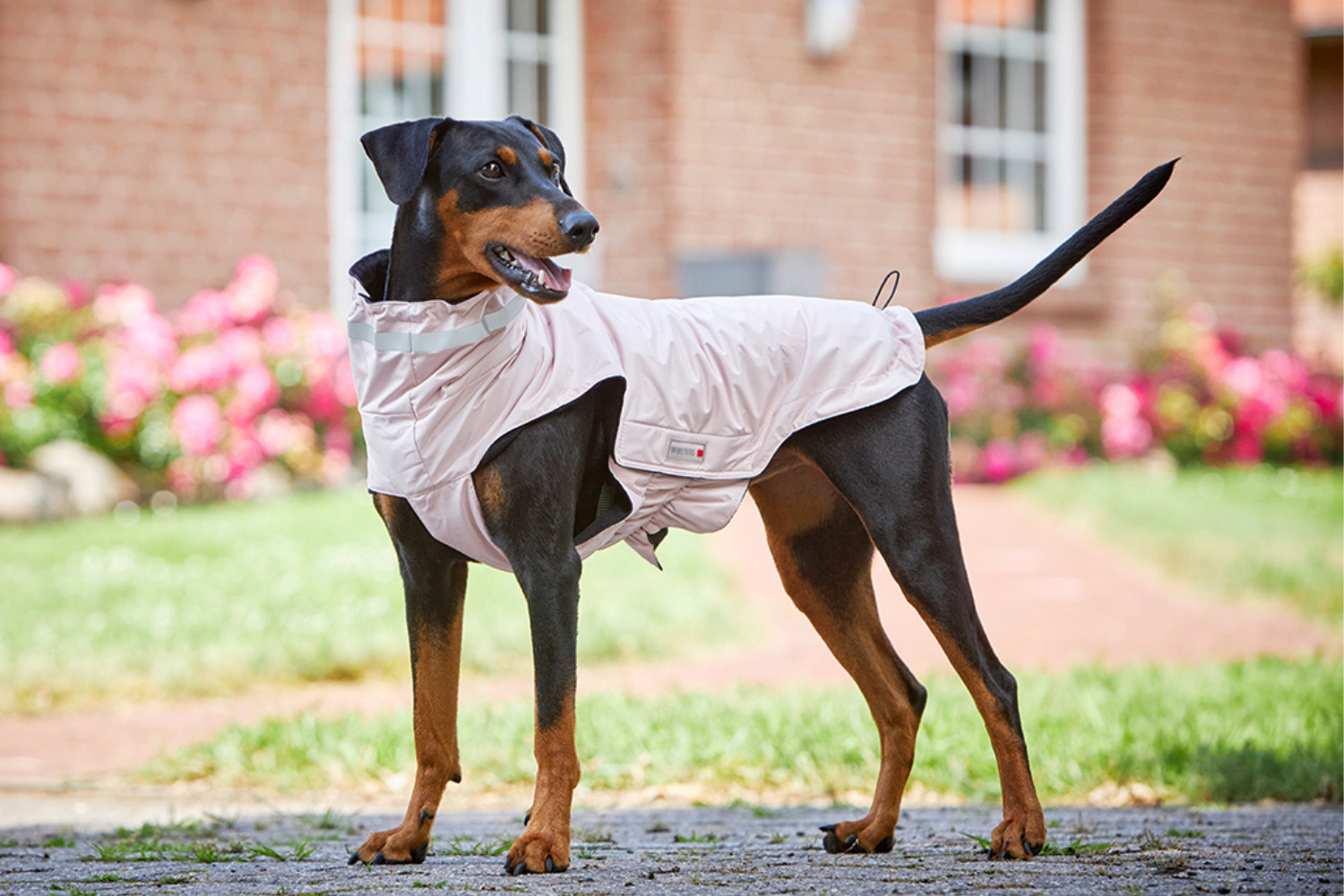 Tierbedarf WOLTERS cat & dog GmbH
