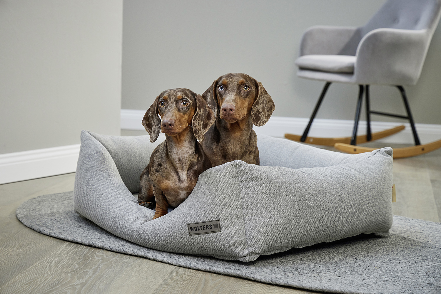  WOLTERS cat & dog GmbH