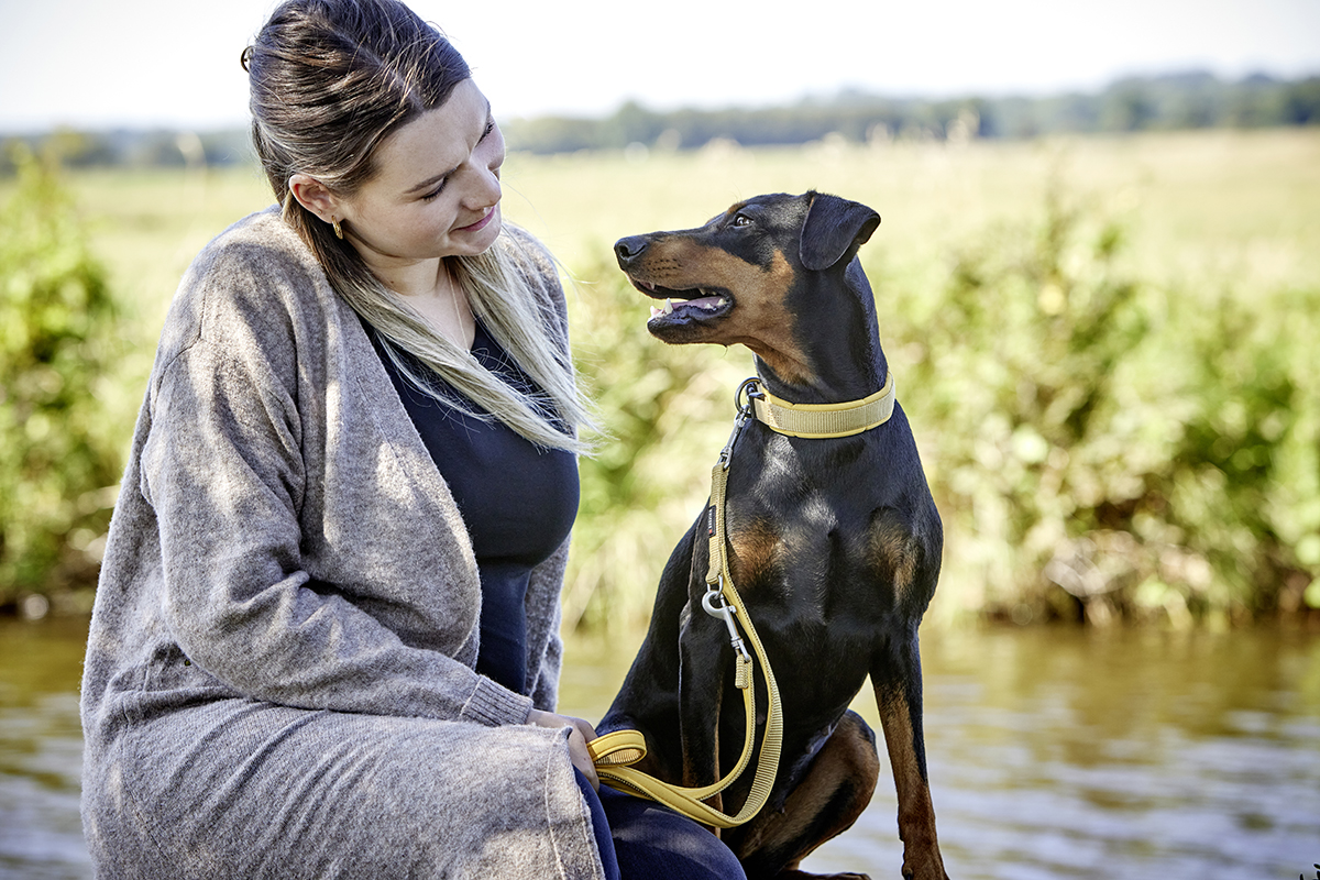 Professional Comfort Halsband WOLTERS cat & dog GmbH