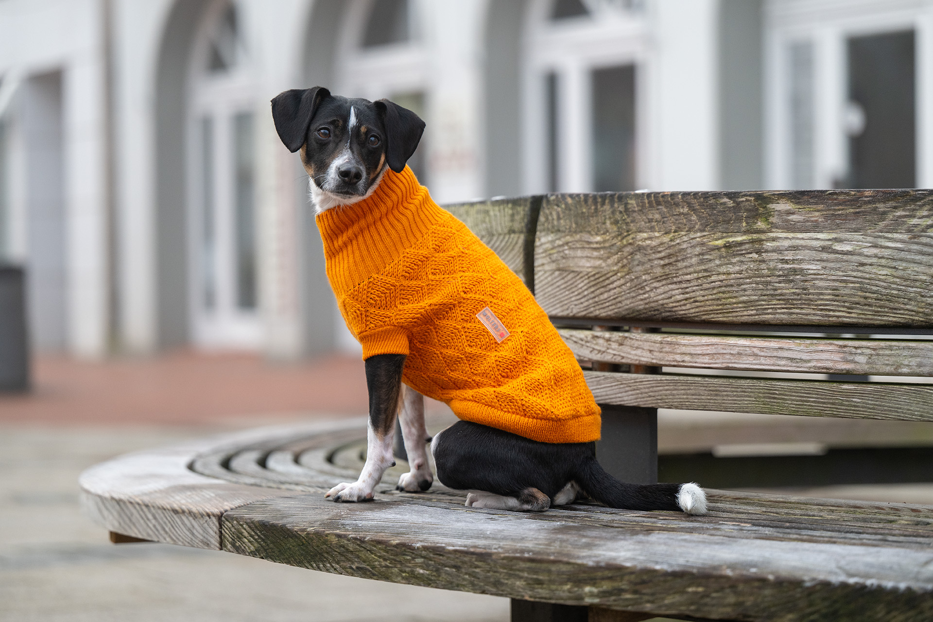  WOLTERS cat & dog GmbH