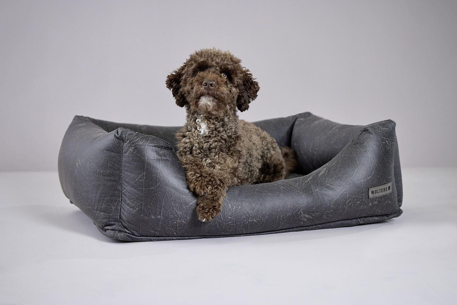 Vintage dog lounge bed