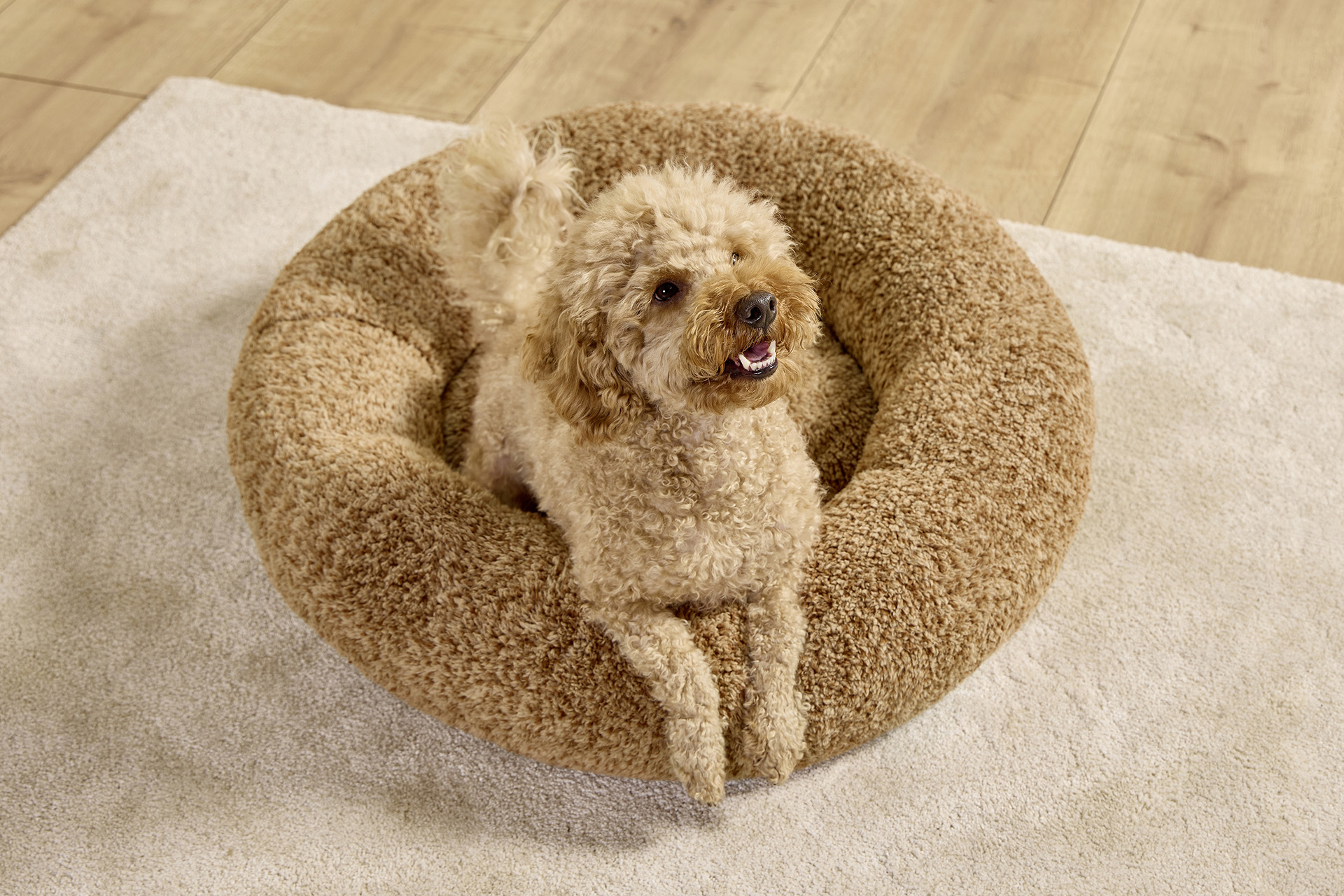 Sweet Dreams dog basket