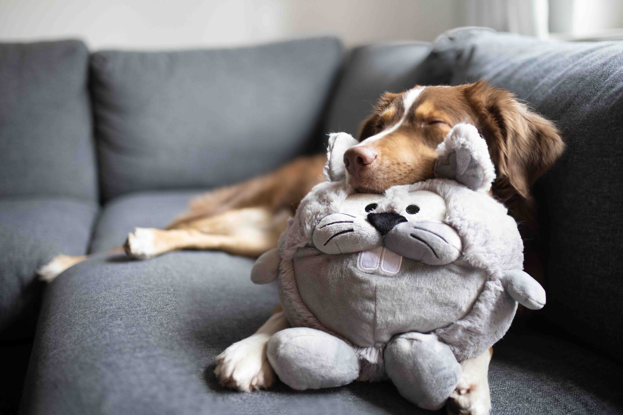Plush Ball