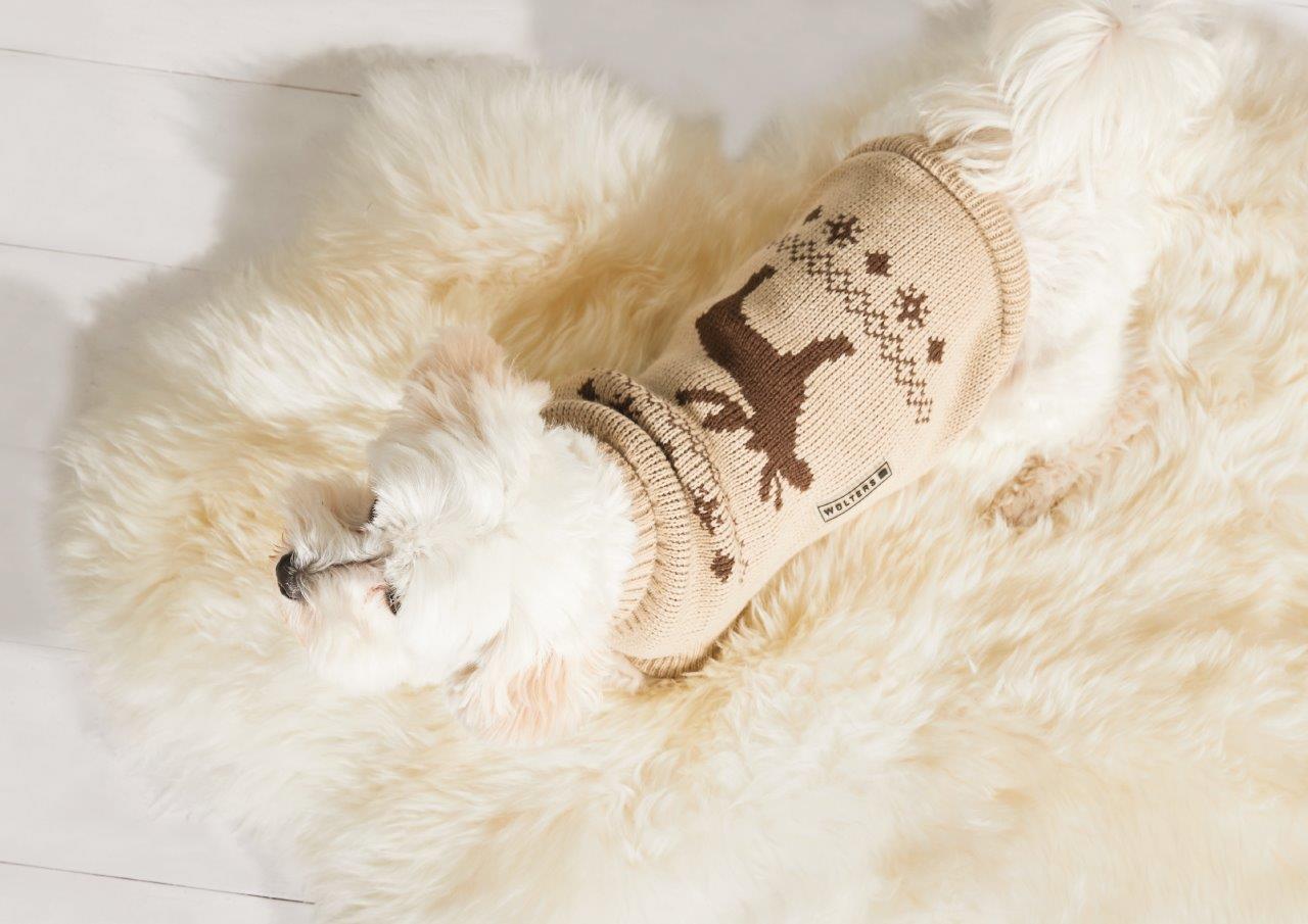 Strickpullover Elch