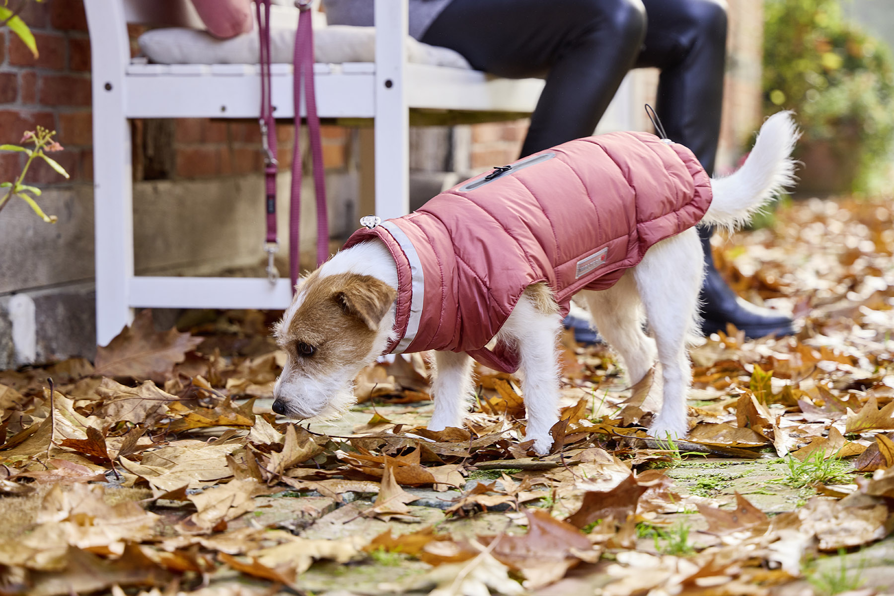 Cosy Padded Jacket
