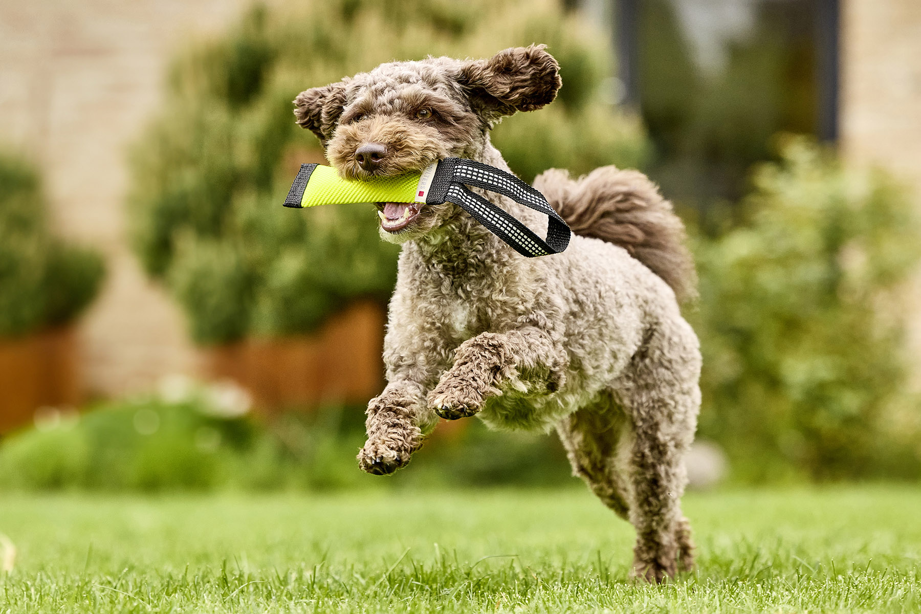  WOLTERS cat & dog GmbH