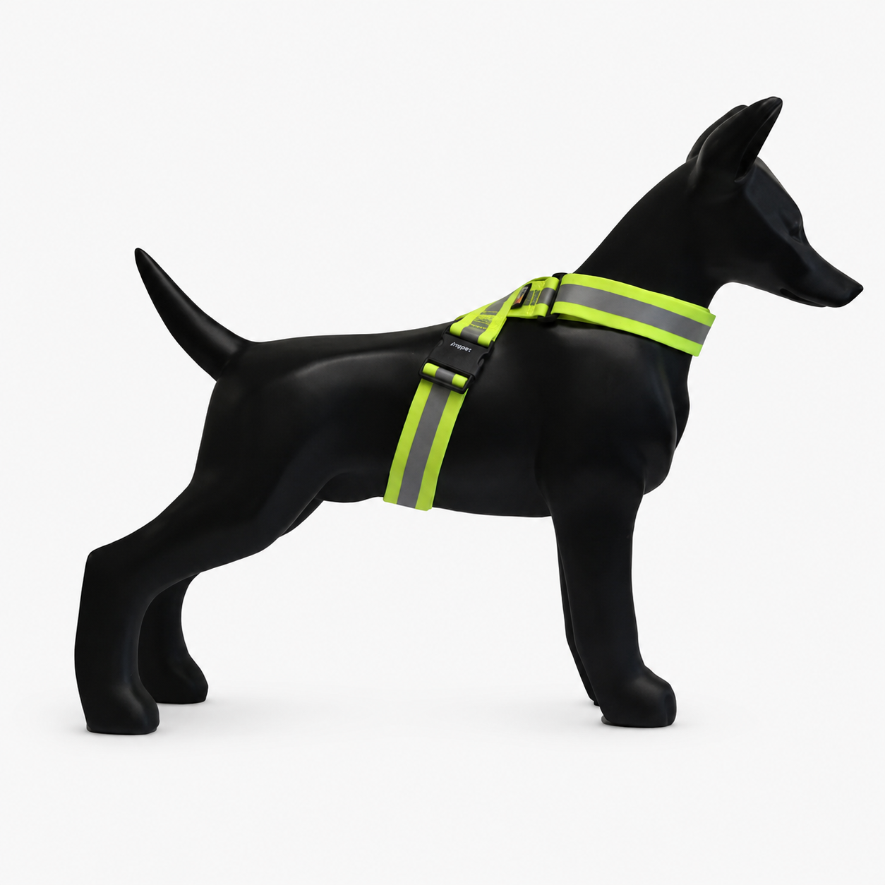 Rukka Pets Note Body Band
