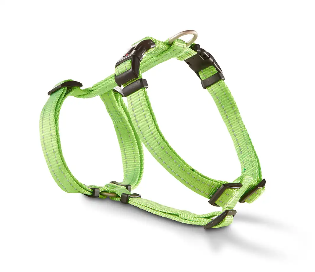 Soft & Safe Professional Harness