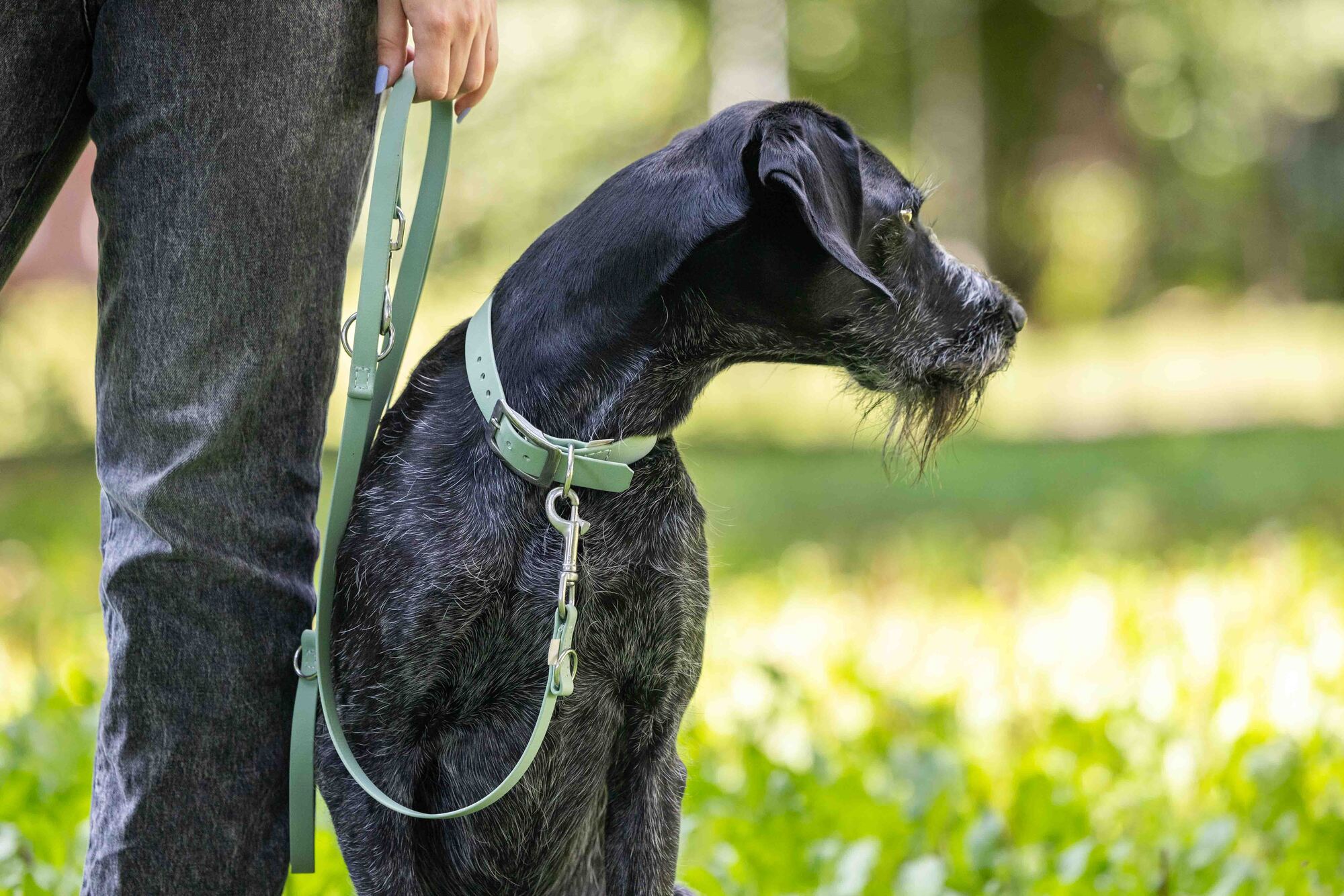  WOLTERS cat & dog GmbH