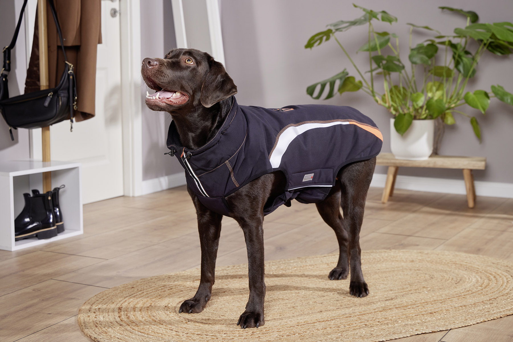  WOLTERS cat & dog GmbH