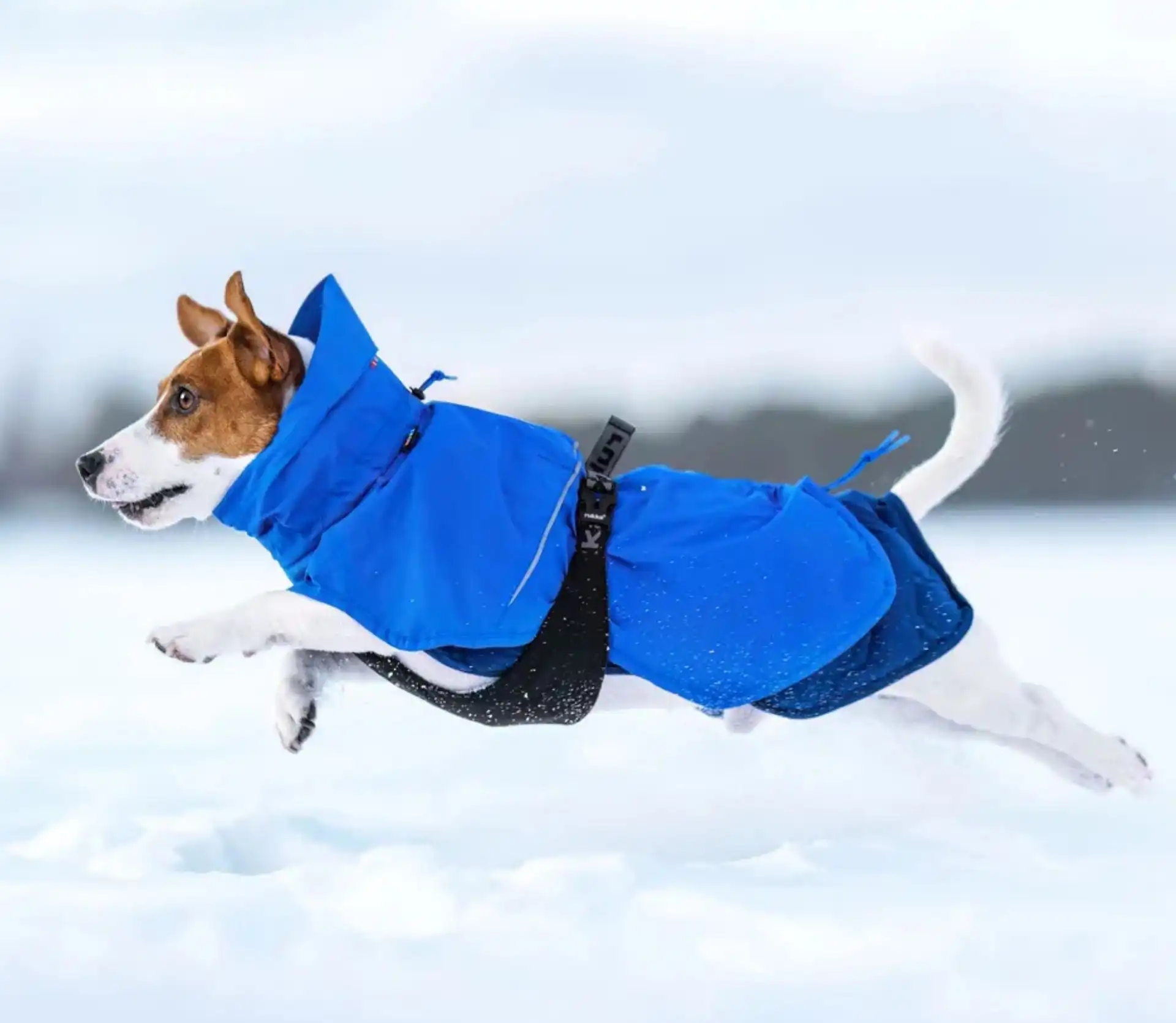 Rukka Pets 3-in-1-Jacke Discovery