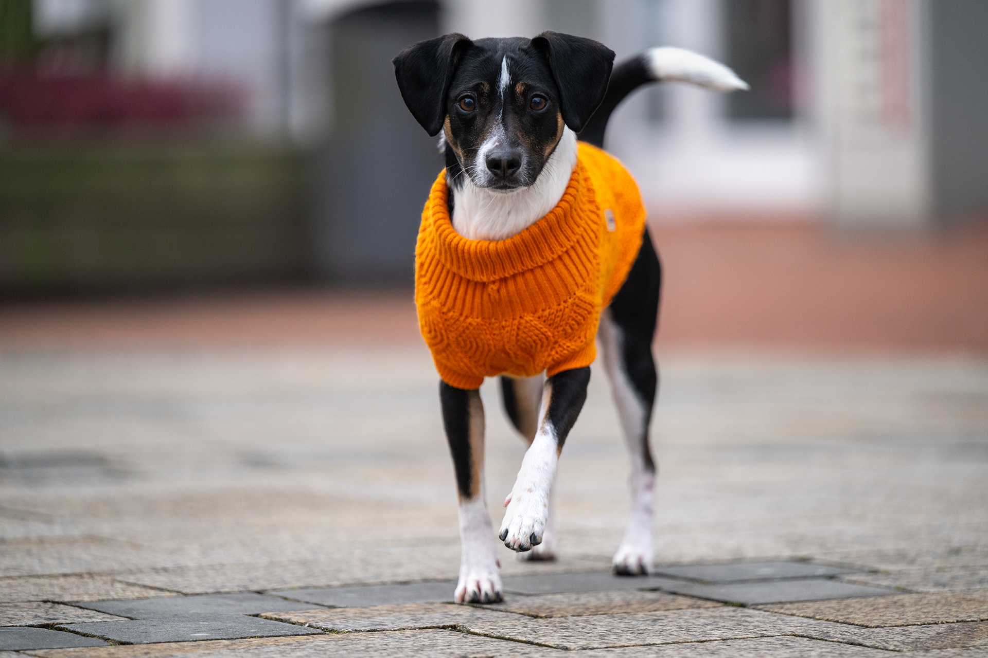 Diamond Knitted Jumper
