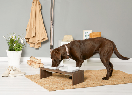 Hundenpfe | WOLTERS cat & dog GmbH