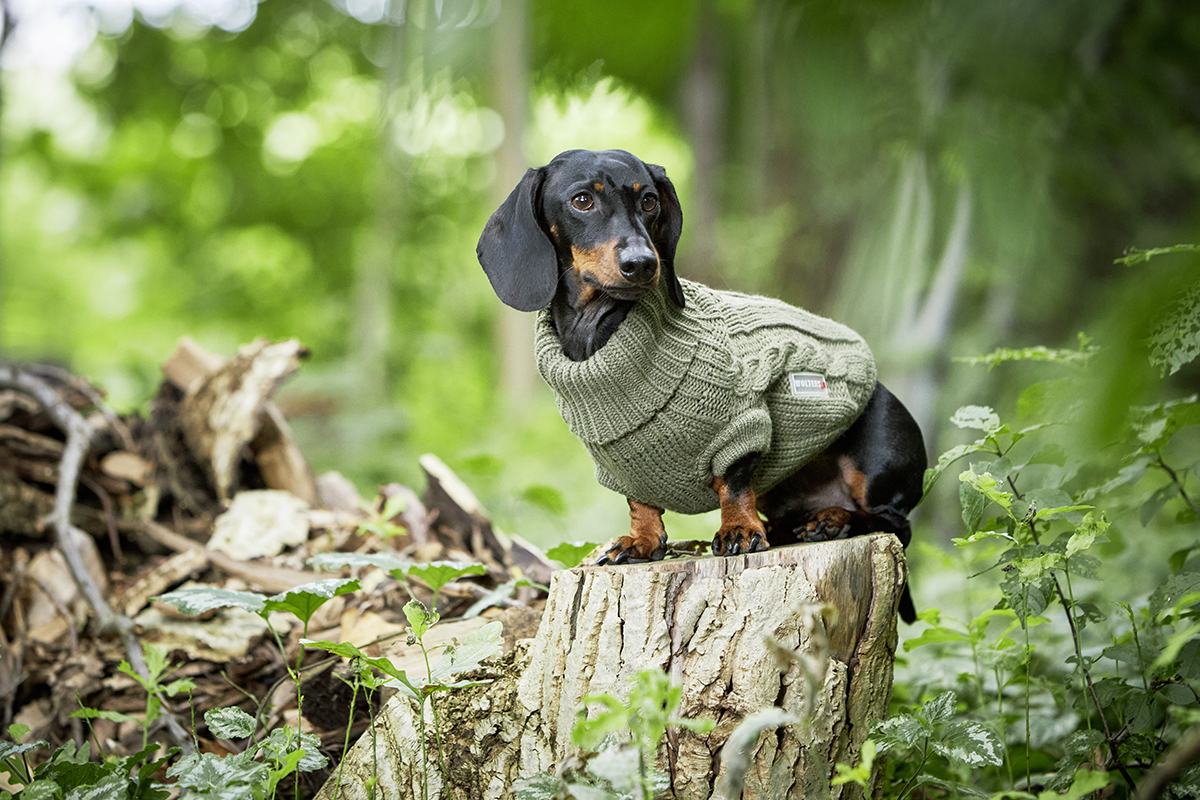 Strickpullover Zopf